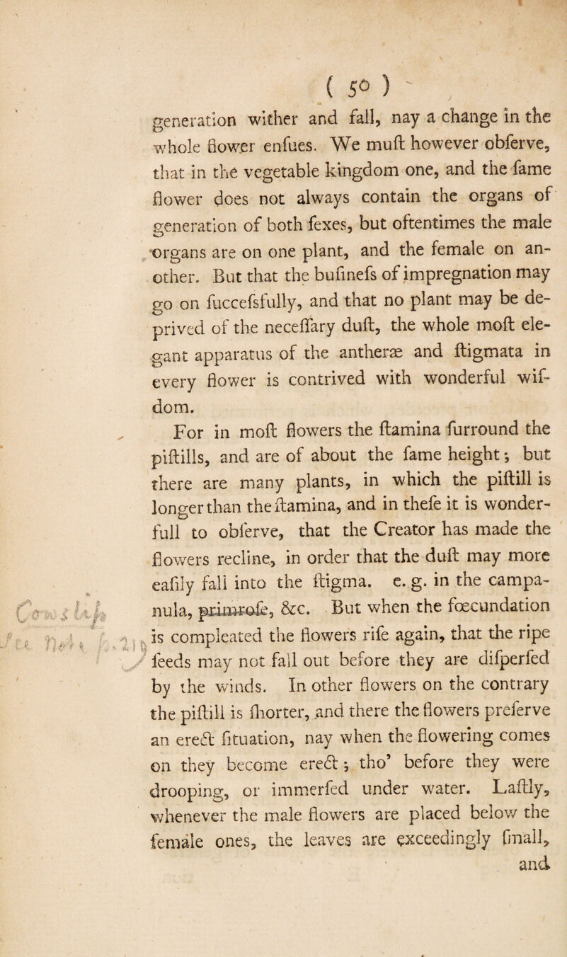 ( 5° ) a generation wither and fail, nay a change in the whole flower enfues. We muft however obferve, that in the vegetable kingdom one, and the fame flower does not always contain the organs of generation of both fexes, but oftentimes the male organs are on one plant, and the female on an¬ other. But that the bufinefs of impregnation may go on fuccefsfully, and that no plant may be de¬ prived of the neceflfary duff, the whole moft ele¬ gant apparatus of the anthers and ftigmata in every flower is contrived with wonderful wif- dom. For in mofl: flowers the flamina furround the piftills, and are of about the fame height *, but there are many plants, in which the piftill is longer than the flamina, and in thefe it is wonder- full to oblerve, that the Creator has made the flowers recline, in order that the duft may more eafily fall into the fligma. e. g. in the campa¬ nula, pximrofe, &c. But when the foecundation is compleated the flowers rife again, that the ripe \ , feeds may not fall out before they are difperfed by the winds. In other flowers on the contrary the piftill is fliorter, and there the flowers preferve an ere& fltuation, nay when the flowering comes on they become ere£t; tho’ before they were drooping, or immerfed under water. Laftly, whenever the male flowers are placed below the female ones, the leaves are exceedingly final], and