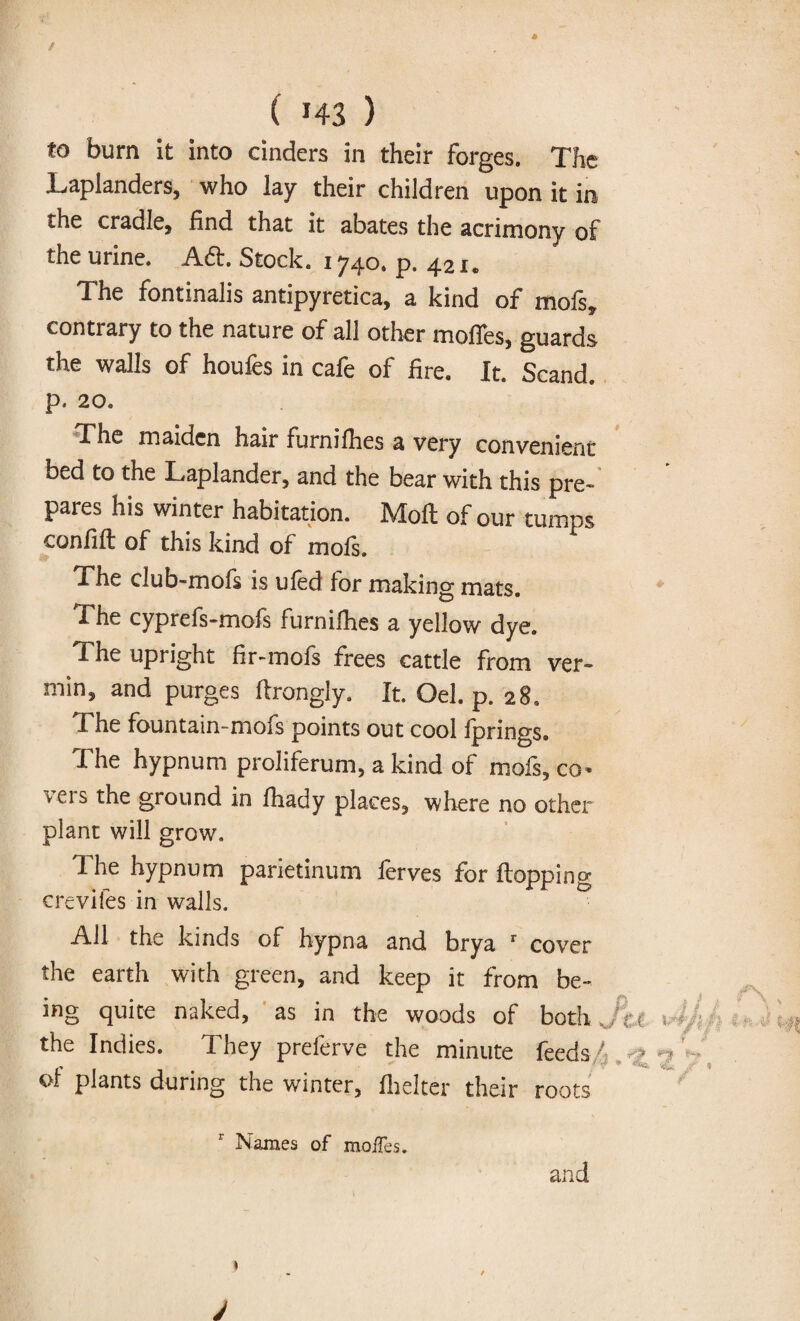 to burn it into cinders in their forges. The Laplanders, who lay their children upon it in the cradle, find that it abates the acrimony of the urine. Aft. Stock. 1740. p. 421* The fontinalis antipyretica, a kind of mofs, contrary to the nature of all other moffes, guards the walls of houfes in cafe of fire. It. Scand. p. 20. The maiden hair furnilhes a very convenient bed to the Laplander, and the bear with this pre¬ pares his winter habitation. Moll of our tumps confift of this kind of mofs. The club-mofs is uled for making mats. The cyprefs-mofs furnilhes a yellow dye. The upright fir-mofs frees cattle from ver¬ min, and purges ftrongly. It. Oel. p. 28, The fountain-mofs points out cool fprings. The hypnum proliferum, a kind of mofs, co* veis the ground in fhady places, where no other plant will grow. The hypnum parietinum ferves for Hopping crevifes in walls. All the kinds of hypna and brya r cover the earth with green, and keep it from be¬ ing quite naked, as in the woods of both the Indies. They preferve the minute feeds i o! plants during the winter, flicker their roots Names of moiTes. and