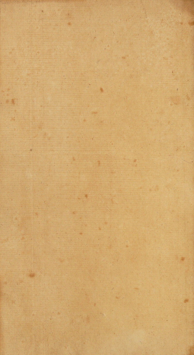 ■ ' ■ : ' ■ ' > ‘ - v ’ ’•, . i.' ■> ’ ■ , i •' -■ :■ . . ' • V * ■■ •> ■. \