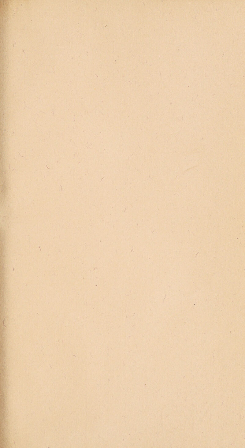 / / \ / 1 V / / { / / / / 'N / ) A I r y I ^ ’ / r / I / r /