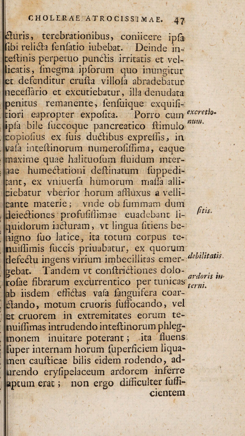 duris, terebrationibus, conficere ip& libi relida fenlatio iubebat. Deinde in- teftinis perpetuo pundis irritatis et vel¬ licatis, imegma ipforum quo inungitur et defenditur crufta villola abradebatur neceflario et excutiebatur, illa denudata penitus remanente, fenfuique exqudi¬ tiori eapropter expolita. Porro cum i tpfa bile fuccoque pancreatico ftimulo , copiofius ex fuis ductibus expreffis, in , i/aia inteftinorum numerofiffima, eaque - maxime quae halituofum fluidum inter- ; nae humedationi deftinamm fuppedi- cant, ex vniuerfa humorum mada alli¬ ciebatur vberior horum affluxus a velli¬ cante materie ; vnde ob fummam dum , deiediones profufifiimae euadebant li¬ quidorum iaduram, vt lingua fidens be- ' nigno fuo latice, ita totum corpus te- nuiffimis fuccis priuabatur, ex quorum defedu ingens virium imbecillitas emer¬ gebat. Tandem vt conftribtiones dolo- rofae fibrarum excurrentico per tunicas ab iisdem effidas vafa languifera coar- dando, motum cruoris fuffocando, vel et cruorem in extremitates eorum te¬ rni illimas intrudendo inteftinorum phleg- monem inuitare poterant; ita fluens [fuper internam horum fuperficiem liqua¬ men caufticae bilis eidem rodendo, ad¬ urendo eryfipelaceum ardorem mferre aptum erat; non ergo difficulter fuffi- cientem excreth- num. ptis. debilitatis ardoris in* terni.