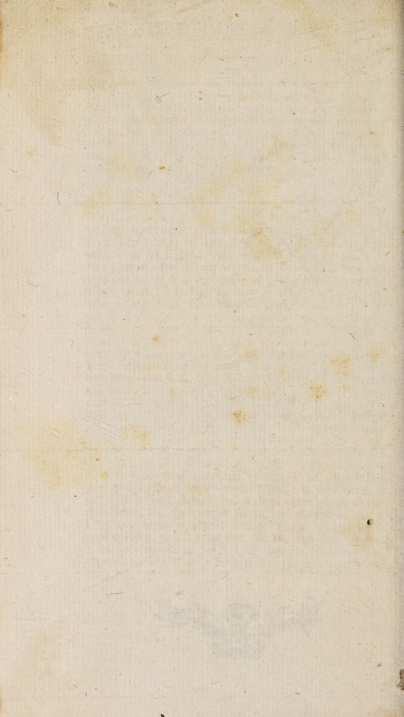 / l ' V . : . ' ■ • ■ ' - * < S ' ■ /. ), \ I