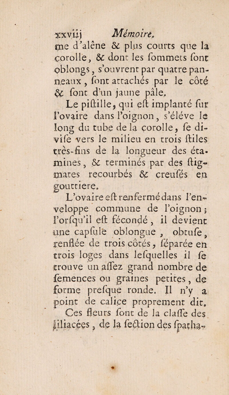 me d’alêne &: plus courts que la çorolle, & dont les fommets font oblongs, s’ouvrent par quatre pan¬ neaux , font arrachés par le côté $£ font d’un jaune pâle. Le piftille5 qui eft implanté fur l’ovaire dans l’oignon 5 s’élève le long du tube de la corolle, fe di- vife vers le milieu en trois ftiles très-fins de la longueur des éta¬ mines 5 &c terminés par des ftig- mates recourbés creufés en gouttière. L’ovaire eft renfermé dans l’en** veloppe commune de l’oignon 5 l’orfqu’il eft fécondé , il devient eue capfule oblongue , obtufe5 ^enflée de trois côtés, feparée en trois loges dans lefquelles il fc trouve un allez grand nombre de femences ou graines petites, de forme prefque ronde. Il n’y a point de calice proprement dit9 Ces fleurs font de la clafte des liliacées ? de la feétion des fpatha-