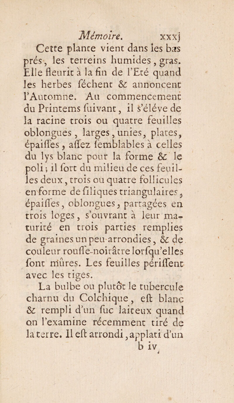 Cette plante vient dans les bas prés, les terreins humides, gras. Elle fleurit à la fin de l’Eté quand les herbes féchent & annoncent l’Automne. Au commencement du Printems fuivant, il s’élève de la racine trois ou quatre feuilles oblongues, larges, unies, plates, épaifles > allez femblables à celles du lys blanc pour la forme & le poli -, il fort du milieu de ces feuil¬ les deux, trois ou quatre follicules en forme de filiques triangulaires 3 épaifles, oblongues9 partagées en trois loges, s’ouvrant à leur ma¬ turité en trois parties remplies de graines un peu-arrondies, 6c de couleur roufle-noirâtre lorfqu’elles font mûres. Les feuilles périfTent avec les tiges. La bulbe ou plutôt le tubercule charnu du Colchique, eft blanc & rempli d’un fuc laiteux quand on l’examine récemment tiré de la terre. Il eft arrondi, applati d’un