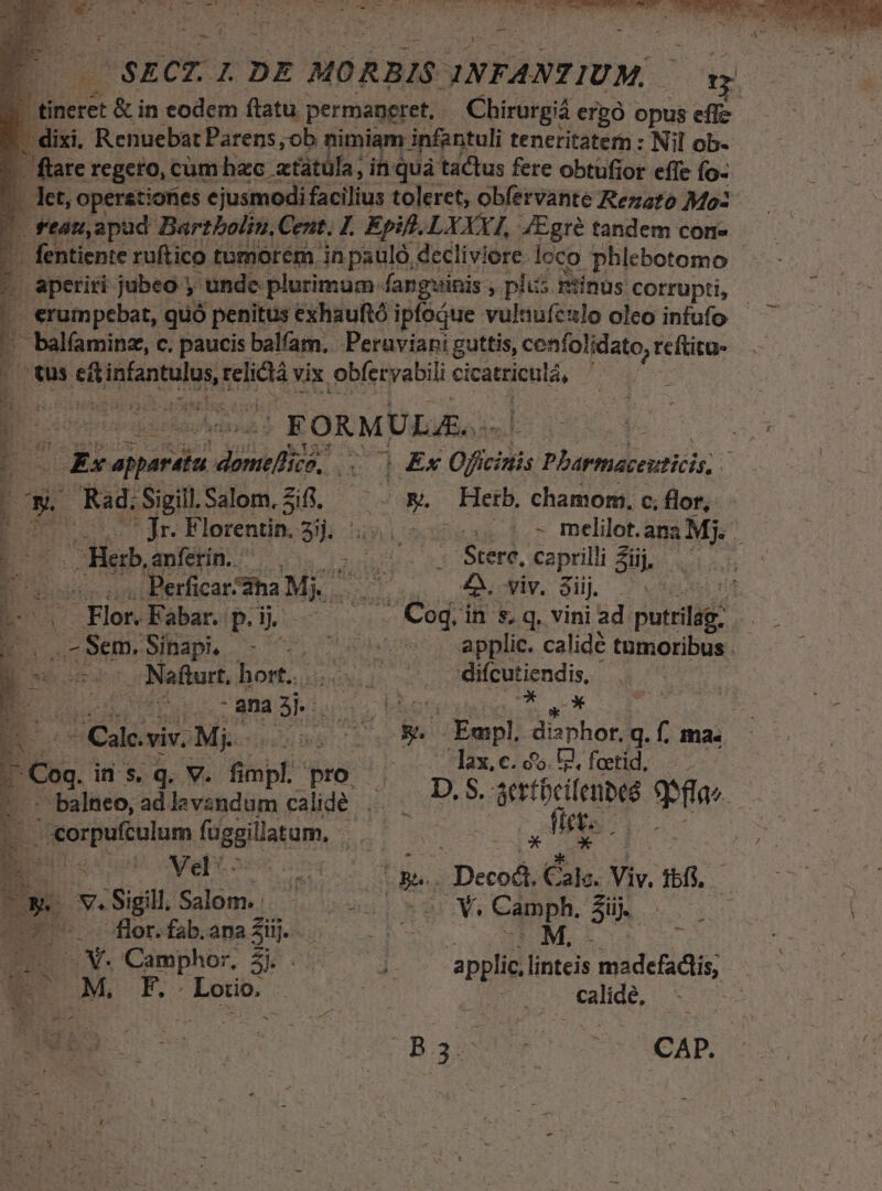 SECZ.. L DE MORBIS. INFANTIUM,. 'ow 1 dixi. Renuebat Parens,ob nimiam. infantuli teneritatem : Nil ob- -. flare regero, cum hzc. atátula, in quà tactus fere obtufior effe fo- . ket, oper&amp;tiones ejusmodi facilius toleret, obfervante Rezaro Mo- | f'tám, apud Bartbolin, Cent. L. Epift. LXXXI, /Egré tandem con- '— fentiente ruftico tumorem in paulo, decliviore loco phlebotomo ^ aperiri jubeo: unde plurimum fangwinis , pius. Pinus Corrupti, Bienpiss quó penitus exhauftó ipfoque vuluufeulo oleo infufo - : balfaminz, c. paucis balfam. Peraviani guttis, cenfolidato, reftitu- ous SRUNAREARU relieta vix. obferyabili su. | FORMULAE. RRERDSEM [. Ex appart. a dal un Er Oficinis bbasmdb curiis ; E v Rad. Sigill. Salom. Zifi. ow. Herb, chamom, c, flor, - [: [0E : Jr. Florentin. S TER |.» melilot.ana Mj. j E. E anferin. Ote. caprilli Süj AN Pericarha Mj. ind ü 4 viv. Sij. em [e Elan Fabar. p. ij. EE iia in s, q. vini ad putrilag: | E. oum Sap. —- v o ederet applic. calidé tumoribus . ES Nafturt. hort... zn ipii difcutiendis, à  Vena e | rae rur JC Calevir. Misriss i (S. Empl danhor.q.[ ma. lax. c. 5. 1. foetid, | IM in s. q. V. fiinpf.: pro | T | balneo, ad levandum calidé .. D. $. id qa» E L ! cii ip GEGUASIR. 5 * b. ID 4- LIE ird me. s Decodi Cus. Viv. ibfs. o» (vs Salom. RET un Y. Camph. Büj. flor.fabanaSüj ^. - M. . y. Camphor, 5j. . J. applic, linteis madcfadlis, JM. F. . oun s d Eos calide,