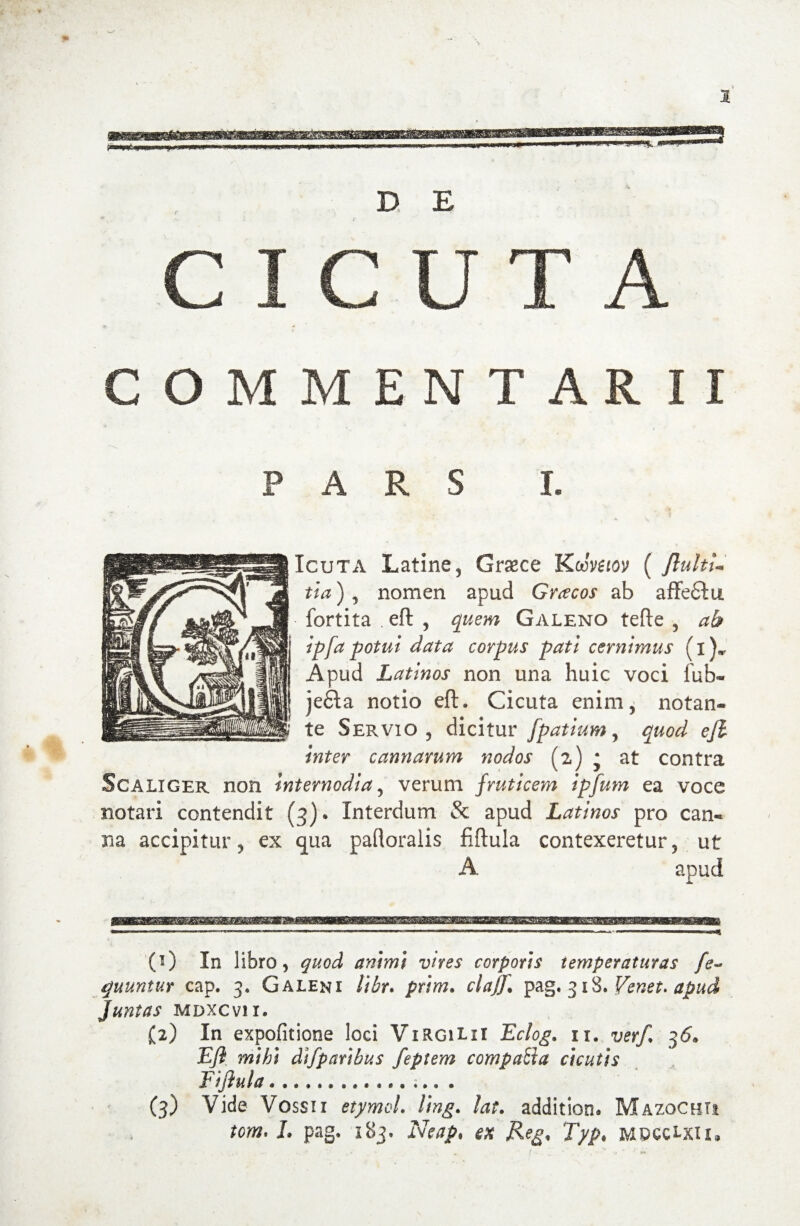 D E U T A COMMENTAR II PARS I. Icuta Latine5 Graece Koovtiov ( flultl- tia) , nomen apud Graecos ab affe&u fortita eft , quem Galeno tefte 5 ab ipfa potui data corpus pati cernimus (i). Apud Latinos non una huic voci fub« je6la notio eft. Cicuta enim, notan* te Servio , dicitur fpatium, quod ejl inter cannarum nodos (2) * at contra Scaliger non internodia, verum fruticem ipfum ea voce notari contendit (3). Interdum & apud Latinos pro can¬ na accipitur ? ex qua pafioralis fiftula contexeretur, ut A apud JU (1) In libro, quod animi vires corporis temperaturas [e- quuntur cap. 3. Galeni libr. prim. claff. pag. 318. Venet. apud juntas mdxcvii. (2) In expolitione loci V1RG1UI Eclog. 11. verf. 36. Eft mihi difparibus feptem compacta cicutis Fiftula.. (3) Vide Vossii etymol. ling. lat. addition. Mazochti tom.l. pag. 183. Neap, ex Reg, Typ. MPCCLxii,