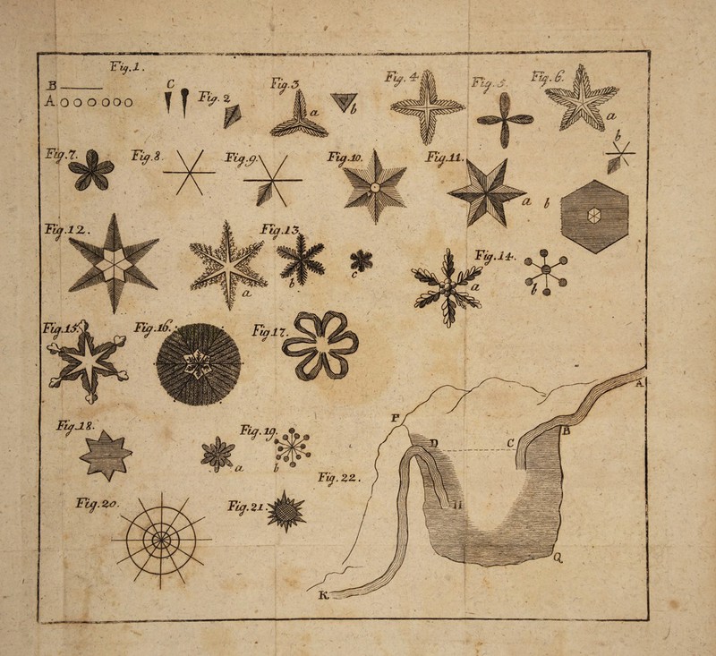 W- &t-'jsai. Fig.l. 3 __ .' ■ - ; A.o ooooo c Tif. % Via. 3 r > '/• Fisj.7. Tut.12,. Fty.15, F/a.iS. Fial7. Ff-% a Füj. zo TLy. zi: Fuv. HP' 2- £up. &, FiaSl. . t Via.14?. a i ■ i I