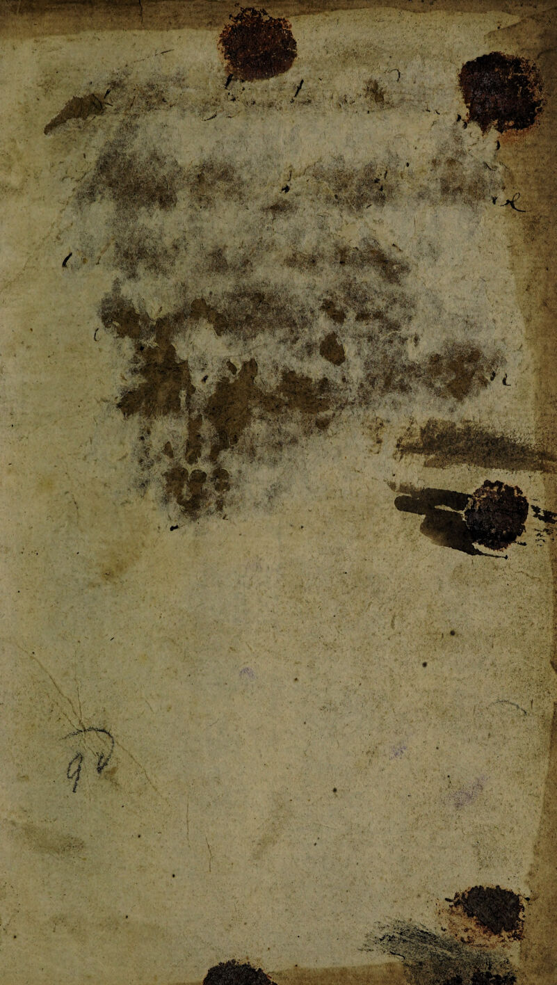 /' .w * .■+** | i IN' *'<4-