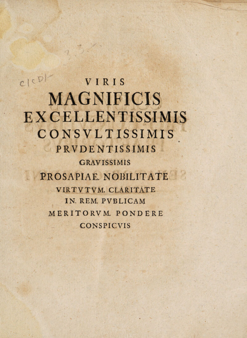 VIRIS MAGNIFICIS EXCELLENTISSIMIS CONSVLTISSIMIS PRV DENTIS SIMIS GRAVISSIMIS PROSAPIAE. NOBILITATE VIRTVTVM. CLARITATE IN. REM. PVBLICAM MERITO RVM. PONDERE CONSPICVIS