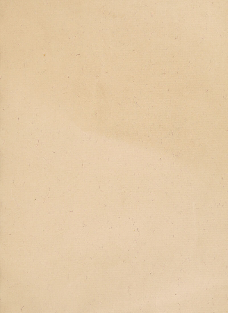 \ * i \ \ / < \ \ \ » / ) / \ / iS .) V ' ( ■ .