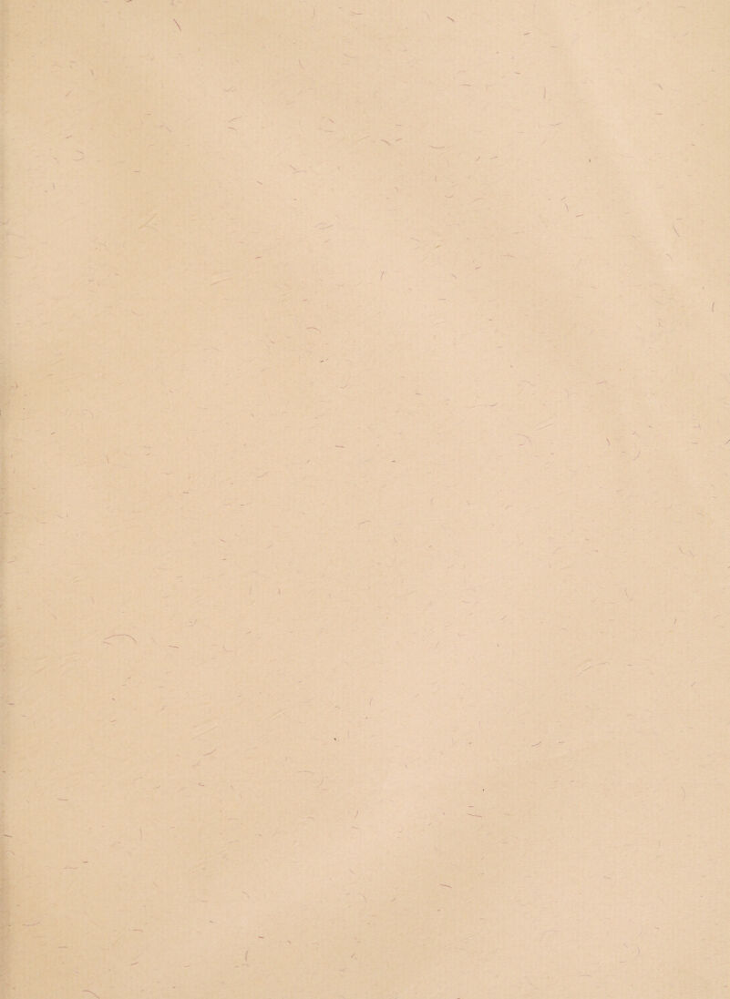 \ \ s t ~ N ■X  f N f \ \ l - y \ f \ \ / ( f '\ i J ) ( \ ✓ \ /.