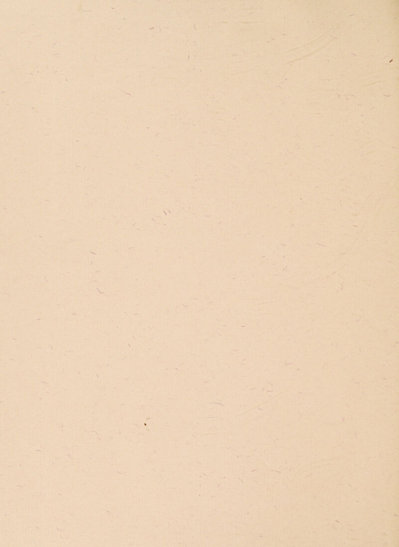 / 1 i f \ / \ I l / f \ V / ) / t ■>