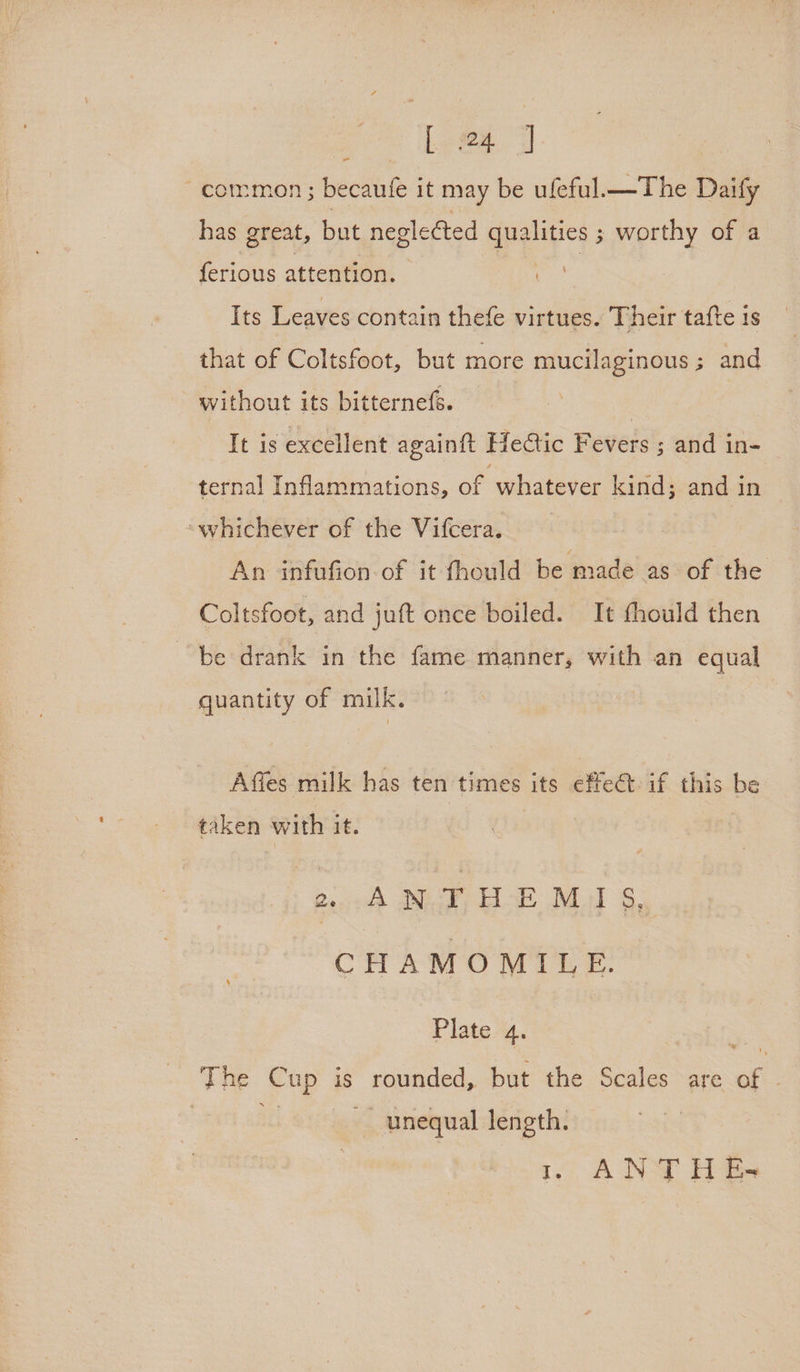 cos Lee dl common; becaufe it may be ufeful.—The Daify has great, bit neglected qpeliyics s ; worthy of a ferious attention. ; Its Leaves contain thefe virtues. Their tafte is that of Coltsfoot, but more mucilaginous ; and without its bitternefs. It is excellent again{t HeGic Fevers ; and in- ternal Inflammations, of “whatever kind; and in “whichever of the Vifcera. An infufion of it fhould be made as of the Coltsfoot, and juft once boiled. It fhould then be drank in the fame manner, with an equal quantity of milk. Affes milk has ten times its effeét- if this be taken with it. Cave Deere be ial 6. CHAMOMILE. Plate 4. ~ The Cup is rounded, but the Scales are aC unequal length. 1 ANTHE-