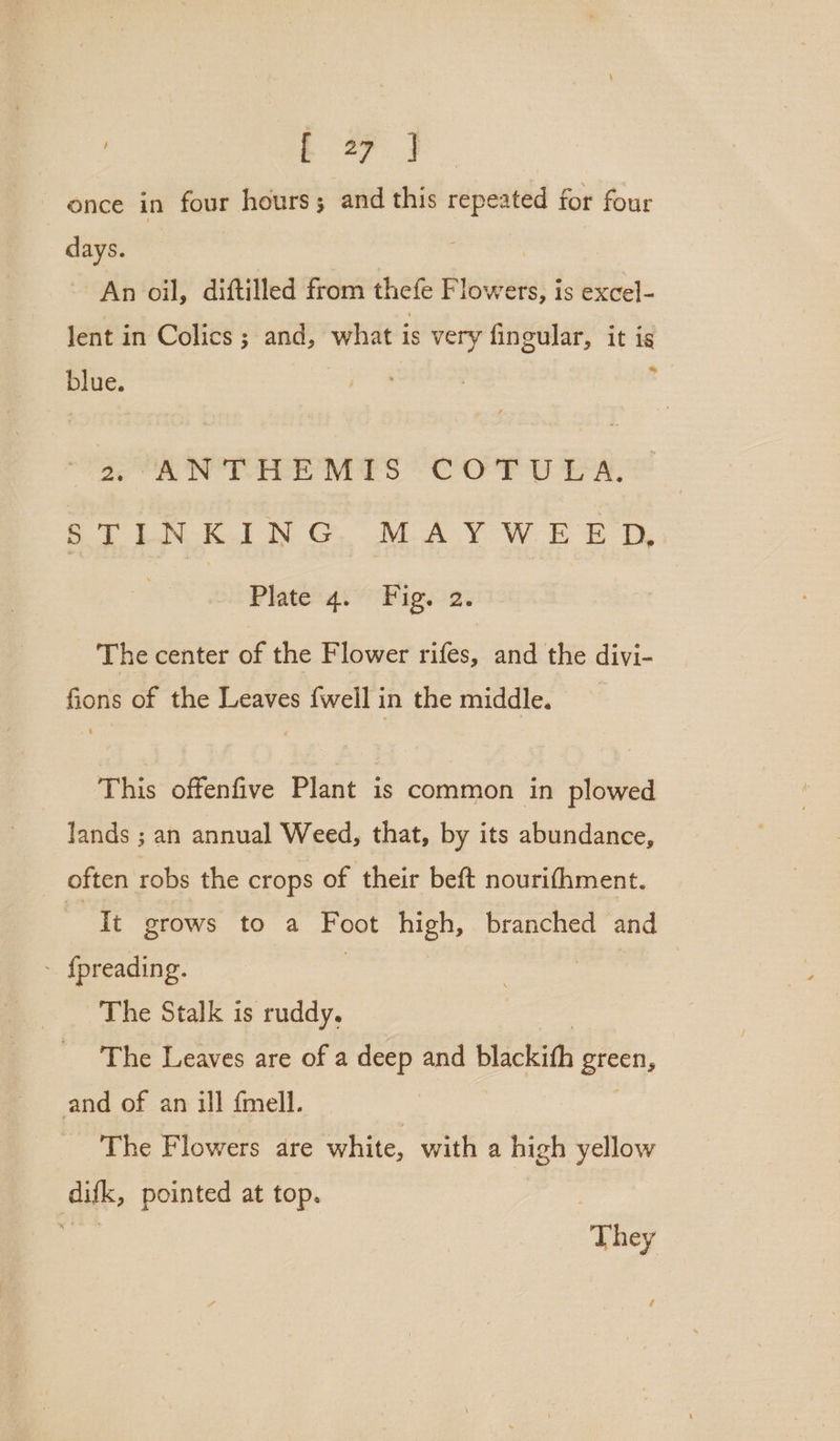 , eo ae, once in four hours; and this repeated for four days. An oil, diftilled from thefe F anal? is excel- Jent in Colics ; and, what is very fingular, it is blue. a eel, : , 2 ANTHEMIS COTULA. STINKING, MAYWEED, Plate 4: Fig. 2. The center of the Flower rifes, and the divi- fions of the Leaves {well in the middle. ‘This offenfive Plant is common in plowed lands ; an annual Weed, that, by its abundance, often robs the crops of their beft nourifhment. ages: grows to a Foot high, branched and - fpreading. ~The Stalk is ruddy. The Leaves are of a deep and tac kids green, and of an ill {mell. The Flowers are white, with a high yellow difk, pointed at top. pee They f