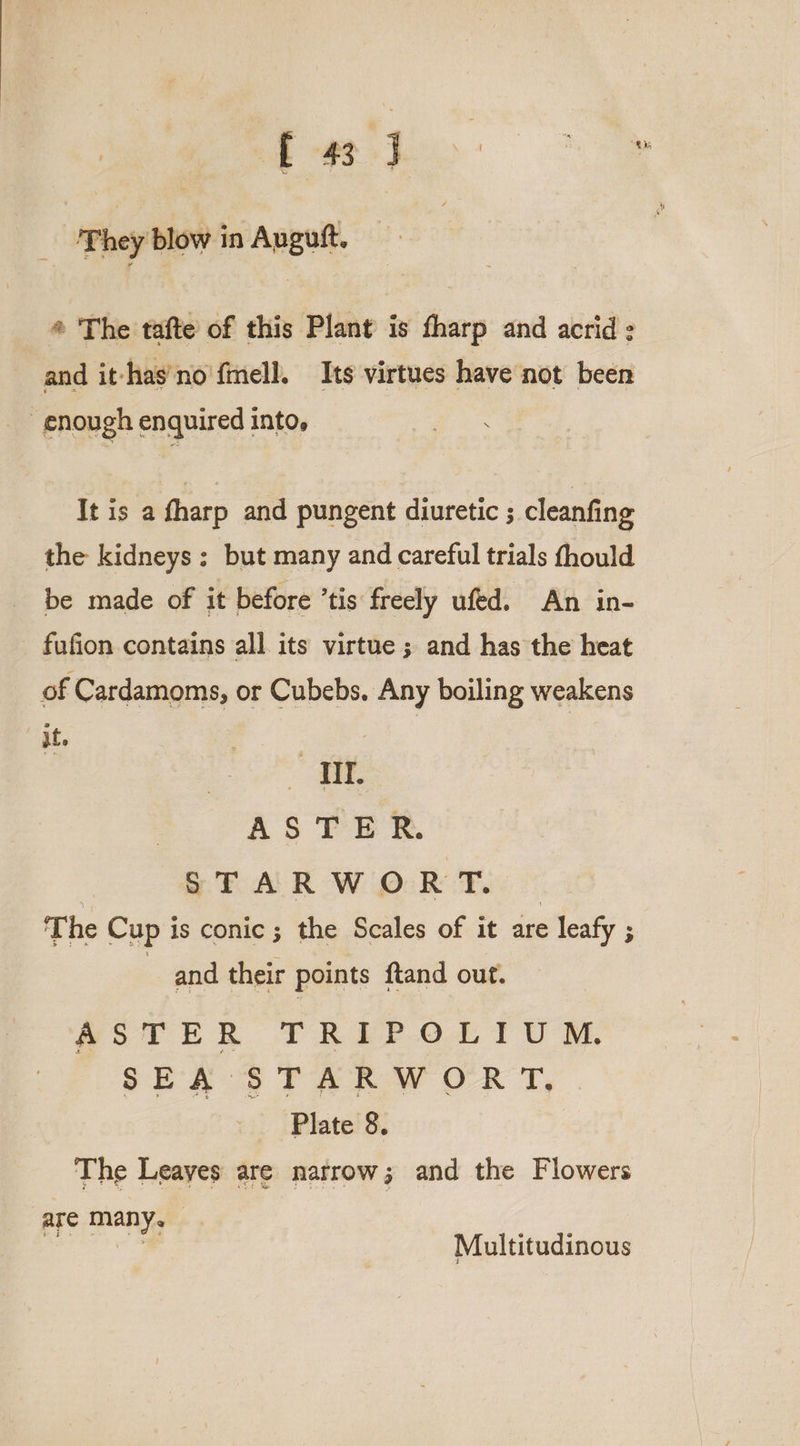 ‘They blow in Anguft. ® The tafte of this Plant is tharp and acrid: and it has’no fmell. Its virtues have not been enough enquired into, It is a fharp and pungent diuretic ; cleanfing the kidneys; but many and careful trials thould be made of it before ’tis freely ufed. An in- - fufion contains all its virtue ; and has the heat of Cardamoms, or Cubebs. Any boiling weakens ‘it. | Ee ASTER. STARWORT. © The Cup is conic; the Scales of it are leafy ; | and their points ftand out. wsTER TF REP OL TU BE SEA STARWORT, | Plate 8. The Leayes are narrow; and the Flowers are many. | | Multitudinous