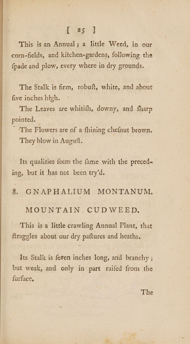oo This igs an Annual; a little Weed, in our corn-fields, and kitchen-gardens, following the fpade and plow, every where in dry grounds. The Stalk is firm, robuft, white, and about five inches high. The Leaves are whitith, downy, on tharp pointed. ‘The Flowers are of a-fhining chefnut brown. They blow in Augutt. . Its qualities feem the fame with the preceds ing, but it has not been try’d. 8. GNAPHALIUM MONTANUM. MOUNTAIN. CUDWEED. a This is a little crawling Annual Plant, that firaggles about our dry paftures and heaths, Its Stalk is feven inches long, and branchy ; but weak, and only in part raifed from the furface, The .