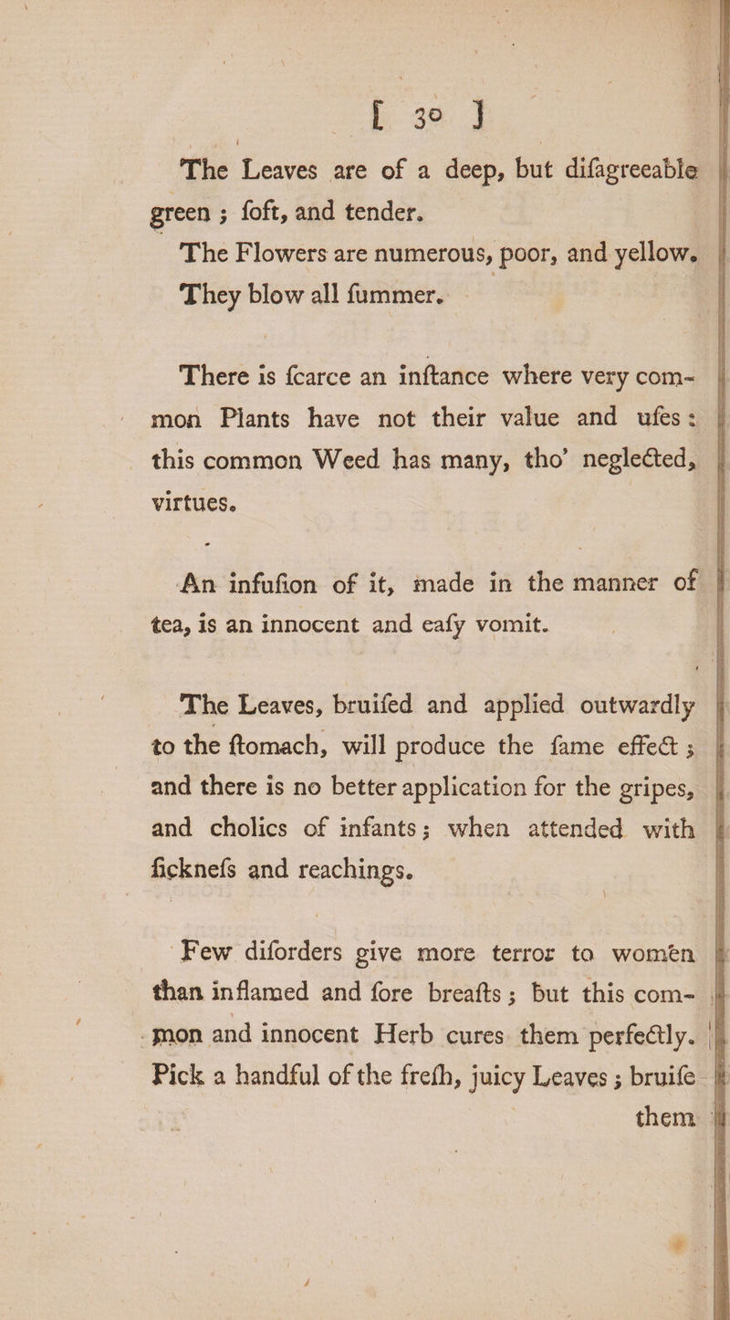 [ 30 J The Leaves are of a deep, but difagreeable | green ; foft, and tender. | The Flowers are numerous, poor, and yellow. They blow all fummer. ! There is fcarce an inftance where very com- mon Plants have not their value and ufes: this common Weed has many, tho’ neglected, virtues. | An infufion of it, made in the manner of | tea, is an innocent and eafy vomit. The Leaves, bruifed and applied outwardly | to the ftomach, will produce the fame effect ; | and there is no better application for the gripes, and cholics of infants; when attended with | ficknefs and reachings. | Few diforders give more terror ta women than inflamed and fore breafts; but this com-= ‘gon and innocent Herb cures them perfectly. | Pick a handful of the freth, juicy Leaves ; bruife | ax | them |