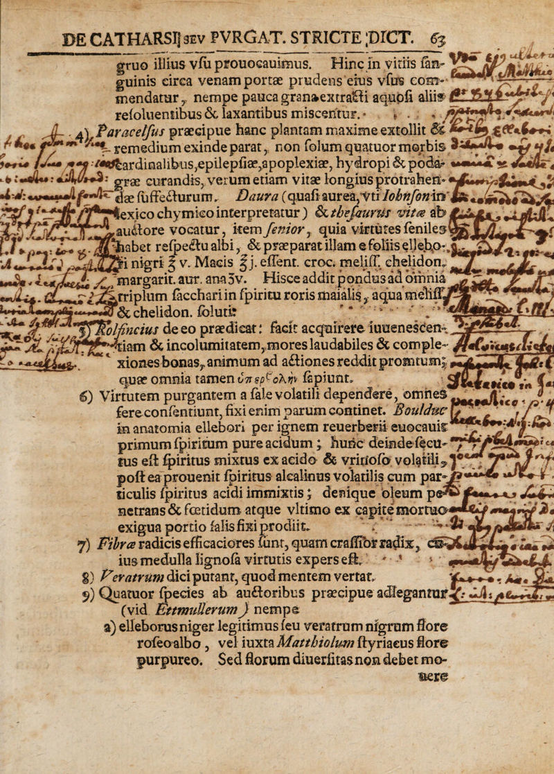 z* s_ x gitiis fan- guinis circa venam portae prudens eius vftrs com- V --... mendararnempe pauca granaextraffi aqupfi alii» CZ&amp;Z&amp;y**'-/' reloluentibus &amp; laxantibus miscentur.* * . iiy ii a vpr w vwvh: 4 grae curandis, verum eaam viise longius protrahen-^lM^ys^if^j^J; ‘dae fuffeflururn, Daura (quafiaurea,Vtr ^exicochymko interpretatur) ikthefaurtis vita %h •-*-** Sr, ^au&amp;ore vocatur, item /emor, quia virtutes feniles ^ ^j^jtgiabet refpeflu albi, &amp; praeparat illam e foliis ellebxK^/v nigri ^ v. Macis |j. efTent. croc. meliff chelidon. 3r 'margarit. aur. ana 5v. Hisce addit pondus ad omnia '^triplum fecchariinfpiriturorismaialisaquameliffJ &amp; chelidon, fblutfe ixJtJU V^olfincius de eo praedicat: facit acquirere iuuenes^en- 'Htiam &amp; incolumitatem, mores laudabiles &amp; comple- 1 xiones bonase animum ad a£liones reddit promtumj ^ qU9f omnia tamen vnsp^ohw fipiunt* Jjfj 6) Virtutem purgantem a fale volatili dependere, omnes r _Zr___ *>*» . -«•(«*»'« f41 fereconlennunt, fixi enim parum continet. Boiriduc , 'ee, f Jf inanatomia ellebori per ignem reuerberii euocauk ***?_£■ }^*** primum fpiritum pure acidum; huric deindefecu- C4 tus efl fpiritus mixtus ex acido &amp; vririofo volatili 3, le_ _ _/i ,-—tn*Tm netrans &amp; fcctidum atque vltimo ex capite mortuo exigua portio falis fixi prodiit. * * ~ 7) Fibra radicis efficaciores funt, quam craffibr radix ius medulla lignofe virtutis expers eJL > ' 8) Veratrum dici putant, quod mentem vertat egantur , I. J JL 9) Quatuor fpecies ab audoribus praecipue (vid EttmuUerum) nempe a) elleborus niger legitimus feu veratrum nigrum flore rofeo albo, vel iuxta Matthiolum ftyriaeus flore purpureo. Sed florum diuerlitasnon debet mo- mere