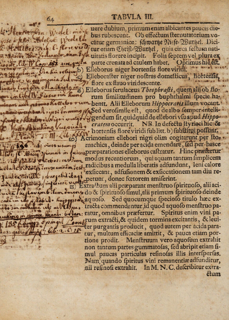 t* !* «f {'fi* •* v**tytiuetiam •l^vlii-SBurfjd, quia circa feftum nati» Kr&amp;AiS, ^VeJL ojrari s florere incidit. Folia (eptem vel plura ex parte cremata ad caulem habet* Optimus hieeffi* *r**w-*-£3Elleborus niger hortenfis flore viridi: '**'**' . y/ Elleborafter niger neftras4omefticusV B6rtefift% v*4&amp;*n&amp;***' t?t*!^/fiore ex-flauo viridescente. Elleborus ferulaceus Tbeopbrafli9 c|uemaliiob flo- rum fimiiitudinem pro buphthalmi ipecie ha?. *5h' V’ p-> ____ __ ilrtfi /i^Sed verofimile eft ? quod de albo (emperEntelli- * «Afv. * ->^j^^enduni •fitjguidqmdjde.ellefcori vfuspud Hippo* - ■ fvUt mpj liortenfis flore viridi fiib litt. b} £ubrflhityfi pofluilci nigri oli® cogitarunt per fto mn?Ji umJ machica, deinde per acida emendare, fe*3 per hasce ' '■ ** fH^iifipraeparationes elleborus caftratur. Hinc praefertur a v -modus recentiorum^ qui aquam tantum limplicem ^esfpradicibus a medulla liberatis adfundunt, leni calore , Af « ^ T V r d V r' • T* 7 7j 7 ia Jis: / do &amp; (p i rituoto in primum lpirituoio deinde • iu4^|fif4^#quo£b. Sed quocumque fpeciefc titulo haec ex- pJlxtLs^ trafia commendentur Jd quod aquofo menftruo pa- ** * ratui\5 omnibus praefertur* Spiritus enim vini pa- ~~ j0^fcum extra£tij&amp; quidem tormina excitantis, 8deui- f ^<77t*Qr -purgantis producit ? quod autem per acida para* fcjlcid-X pjp ? multum efficaciae amittit, &amp; pauca etiam por¬ tione prodit. Menftruum vero aquofum extrahit non tantum partes gummatofas, fed abripit etiam ii* mul paucas particulas refinofas illis interfperfas* Mam] quando fpiritus vini remanendae adfundirur, mil refinofi extrahit* In M, N. C, defcribitur extra* dium