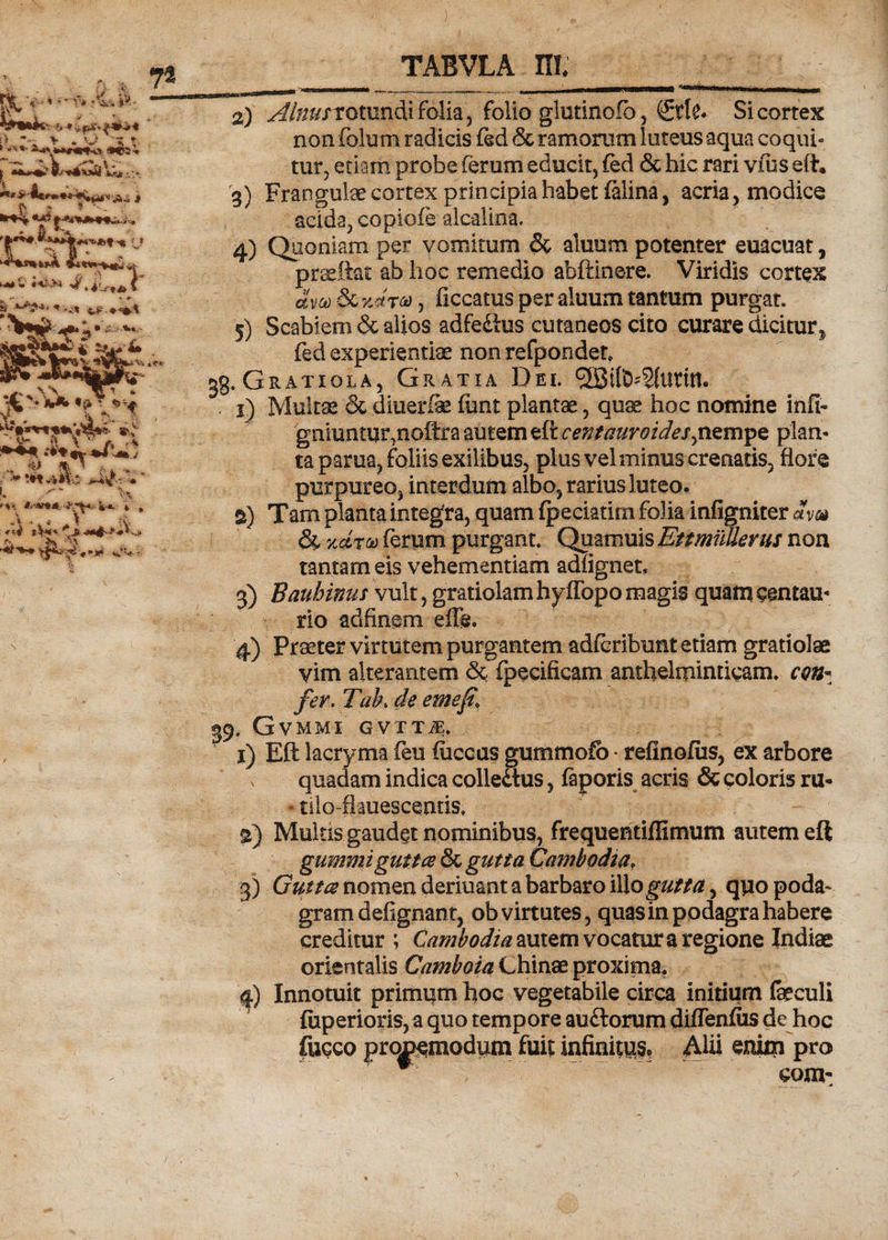 ' ^ 'V' *% ' V - * *”V* * . V> S t 1%. urnMi i 72 TABVLA m. * ** <H?2 r i ’&amp;** *5*\~'>*>*'* V '■**» *< >J ^. 'ib*-* I *- ■ ; «• *^ ^:* jw*» * «5^. .. *> % ^ f. 4 •* * !H *)$&amp; - ’ > . V* ?%\ fc*>? 4 * --'(? jW«. ^ Ji ii- _ . A* , *>.**>* V«* 2) Alnus-rotundi folia, folio gletinofb, &amp;U* Si cortex non folum radicis fed &amp; ramorum luteus aqua coqui» tur, etiam probe ferum educit, fed &amp; hic rari vius eft, 3) Frangulae cortex principia habet felina , acria, modice acida, copiofe alcalina. 4) Quoniam per vomitum Sc aluum potenter euacuat, praeftac ab hoc remedio abftinere. Viridis cortex avo) &amp; vJrc*), flccams per aluum tantum purgat. 5) Scabiem &amp; alios adfeftus cutaneos cito curare dicitur ?/ fed experientiae non refpondet, 38. Grati ola, Gratia Dei. . 1) Multae &amp; diuerfie fimt planta, quae hoc nomine infi- gniuntur,noftra autem eft centauroidesjizmpe plan¬ ta parua, foliis exilibus, plus vel minus crenatis, flore purpureo, interdum albo, rarius luteo. 6) Tam planta integra, quam fpeciatim folia infigniter dm &amp; Kclroo ferum purgant. Quamuis EtmiiUerus non tantam eis vehementiam adfignet, 3) Bauhinus vult, gratiolam hyffopo magis quam centau- rio adfinem effis. 4) Praeter virtutem purgantem adfcribunt etiam gratiolae vim alterantem &amp; fpecificam anthelminticam. am« fer. Tak de emefi, 39. GVMMI GVTT4 1) Eft lacryma (eu fuccus gummofo • refinofus, ex arbore quadam indica colledtus, faporis acris &amp; coloris ru- tilo-flauescentis. 2) Mulas gaudet nominibus, frequentiflimum autem eft gummi gutta &amp; gutta Cambodia, 3) Gutta nomen deriuant a barbaro illo gutta, quo poda¬ gram defignant, ob virtutes, quas in podagra habere creditur ; Cambodia autem vocatur a regione Indiae orientalis Camboia Chinae proxima. <|) Innotuit primum hoc vegetabile circa initium feculi fuperioris, a quo tempore au&amp;orum diffenfus de hoc fucco proiemod^m fuit infinita AHi enim pro com-