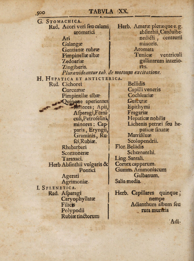 J0O G. Stomachica. Rad» Acori veri fm calami aromatici Ari Galangse Gentianae rubrae Pimpineilae albas Zedoarise Zingiberis, Plurmvideantur t ab. de H* Hepatica et anticteri Rad. Cichorei Curcuma Pimpinellae albae- te aperientes ores; Apii AfparagiJFceni- culijPetro(eIin% minores: Cap paris 5 Eryngii, Graminis, Ru~ fci5Rubiae. Rhabarbari Seorzonerae Herb.Abfinthii vulgaris &amp; Pontici Agerati Agrimonia I. Splenitica. Rad. Afparagi Caryophyllatae Filicis Polypodii Rubiae tin&amp;orum Herb, Amarae pleraque e, g&gt; abfinthiijCarduibe- nedifti , centaurii minoris. Aromata Tunicae ventriculi gallinarum interio» res. mottmjn e % citatione, C A* Bellidis Capilli veneris Cochleariae Gusfcyrae Epithyml Fragariae Hepaticae nobilis Lichenis petra:i feu he¬ patica fexatae Matrifiluae ScolopendriL Flor. Bellidis Schcenanthh Ling. Santali. Cortex capparum. Gumm. Ammoniacum Galbanum. Salia media. Herb. Capillares quinque ] nempe Adianthum album feu ruta murAia Adi-