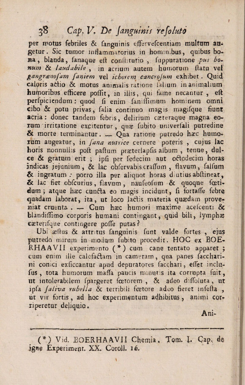 per motus febriles &amp; fanguinis effervefcentiam multum au¬ getur. Sic tumor inflammatorius in homm.bus, quibus bo¬ na, blanda, fanaque ell conliitutio , fuppuratione pus bo« %um &amp; laudabile , in aenum autem humorum flatu vel gangrcenofam faciem vel ichovem cancrojum exhibet . Quid caloris adio &amp; motus animalis ratione ialium inanimalium humoribus efficere poffit, in illis, qui fame necantur , eft perspiciendum: quod fi enim faniffimum hominem omni cibo &amp; potu privas, faiia contmuo magis magifque fiunt acria: donec tandem febris, delirium casteraque magna eo¬ rum irritatione excitentur quas fubito univerfaii putredine &amp; morte terminantur. — Qua ratione putredo hazc humo¬ rum augeatur, in fana nutrice cernere poteris , cujus lac horis nonnullis poft paftum prazieriapfis album , tenue, dul¬ ce &amp; gratum erit ; ipfi per fedecirn aut ododecim horas indicas jejunium, &amp; lac cbfervabis craflum , flavum, faifum &amp; ingratum; porro illa per aliquot horas diutiusabftineat, &amp; lac fiet obfcurius, fiavum , naufeofum &amp; quoque foeti¬ dum ; atque hac eunda eo magis incidunt, fi fortaffe febre quadam laborat, ita, ut loco ladis materia quasdam prove¬ niat cruenta . — Cum haec humori maxime acefeenti &amp; blandi ftimo corporis humani contingant, quid bili, lymphae CEeterifque contingere poffe putas? Ubi asftus &amp; attritus fanguinis funt valde fortes , ejus putredo mirum in modum fubitq procedit. HOC ex BOE- RHAAVII experimento (*) cum cane tentato apparet ; cum enim ille calefadam in cameram, qua panes (acchari- ni conici exficcantur apud depuratores facchari, effet inclu- fus , tota humorum tnaffa paucis minutis ita corrupta fuit, Ut intolerabilem fpargeret foetorem , &amp; adeo diffoluta , ut ipfa Jaliva rubella &amp; terribili fcetore adeo fieret infefla , ut vir fortis, ad hoc experimentum adhibitus, animi coi&gt; riperetur deliquio., ‘ Ani- wnnni. n,—■— m | i -■ n.i.r—W ' ■ — 1 i— (*) Vid. BOERHAAVII Chemia, Tom. 1. Cap, de igne Experiment. XX. Coroll. 16.