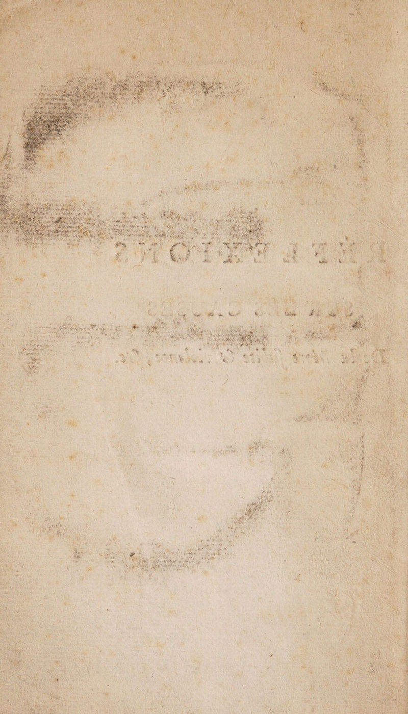 V ‘■■'-•'X V**'' ■ t •T- ' ■ y- “ f Y ? ■ ■ ;* < ■ ' 8* ■ ■ « . r a ' - -V • t,- $4 l«K v^Jr'* ' ' < <• *-■ v * •• &àr y v't&â$pV<:î* -J - • 'V ••-fl*. %\ yUl $ •'? •'*■ * 1 ' •■•• * .* *' '• * ’• •:’v ■■■'. ■ ■ •*&-<.->%■ :^'.4 , iv -■«••. , - . ’t vv - ' .. - * :■ r t h-. ' £ ■ • ■& * : • î . Aï -jg*?-* *'r * f1 f -H srH. ' w~ **> ■, ' * é ë ■■ t - /’ '• < ;v». *\- >■ •* .*■* \vvV- <* ^ * * 4V * • ;'• *>v 's- •.» ’.• / i s «* «*■ • 4 M- ’f • , ■>* :V *£,' % ■; y- Ju. ■. i> •>•• r*»’ >■?••■ *•>* ♦* <V-'* ->l- v , < t . “ ■ V * m •• ■ > '. > y • ' . t* 'r . ^ >r ***.*>. ■i- . * •.<>-• x j-,. ’ * * ? ■ ^ i« '«.i â S- . \ & ' ' ' ■ ■ ' l ■• ■y • ' * * ; • ;v.'••<■•> ‘ ' 4 ^ • .1 ,4c‘ > ■ • *<■•*-,.• t. ■'■•. Si* ' v‘ ■ ' £'^ > . V.-; w t' v -I ■V. y-y \ ••*»•■»*• .-•ï'