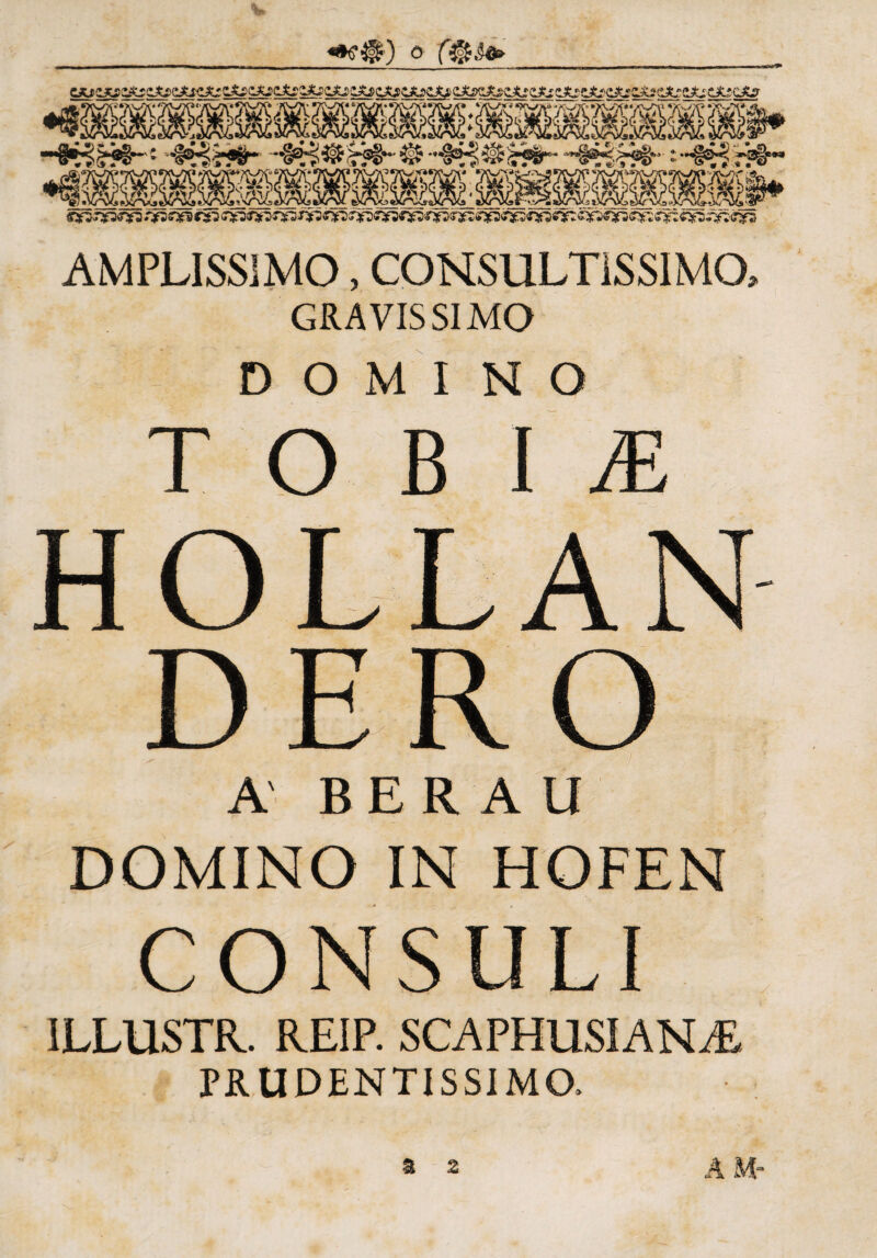 AMPLISSIMO, CONSULTISSIMO* GRAVISSIMO DOMINO TOBU HOLLAN DERO A B E R A U DOMINO IN HOFEN CONSULI ILLUSTR. REIP. SCAPHUSIAN/E PRUDENTISSIMO.