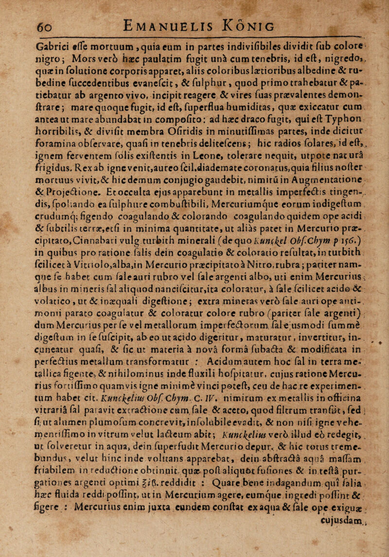 Gabrici «fTe mortuum , quia eum in partes indivisibiles dividit fub eoiore nigro; Mors verb haec paulatim fugit uni cum tenebris, id eft» nigredo», quarin folutione corporis apparet» aliis eoioribus laetioribus albedine & ru¬ bedine fuccedentibus evanefeit» & fuiphur» quod primo trahebatur & pa¬ tiebatur ab argento vivo, incipit reagere & vires fuas praevalentes demon- ftrare; mare quoque fugit, id eft, fuperflua humiditas, quae exiccatur cum antea ut mare abundabat in compofito: ad haec draco fugit, qui eft Typhon horribilis, Sc divifit membra Ofiridis in minutiflimas partes, inde dicitur foraminaobfervare, quafi in tenebris delitefcens; hic radios folares, id eft» , ignem ferventem folis exiftentis in Leone, tolerare nequit, utpote nat uri frigidus. Rex ab igne venit,aureo fcibdiadematecoronatus,quia filius nofter mortuus vivit,& hic demum conjugiogaudebit, nimiru in Augmentatione 8c Proje&ione* Et occulta ejus apparebunt in metallis imperfc&is tingen-,. dtSj fpoliando ea fulphure combuftibili, Mercuriumque eorum indigeftum crudumq; figendo coagulando Sc colorando coagulandoquidem ope acidi, & fubtilis terrae,etfi in minima quantitate, ut alias patet in Mercurio prae¬ cipitato, Cinnabari vulg turbith minerali (de quoKumkel Obfchym p if6.) in quibus pro ratione falis dein coagulatio & eoioratio refultat»in turbith fcilicetl Vitno{o,alba,in Mercurio praecipitato I Nitro,rubra ; pariter nam¬ que fie habet cum faleauri rubro vel iale argenti albo, uti enim Mercurius; albus in mineris fal aliquod nancifcitur,ita coloratur, ^ fale fcilicet acido dC : volatico, ut & iprequali digeftione; extra mineras vero fale auri ope anti- monii parato coagulatur Sc coloratur colore rubro (pariter fale argenti) r dum Mercurius per fe vel metallorum imperfe<ftorum iale-usmodi fumme digeftum in fefufeipit, abeo ut acido digeritur, maturatur, invertitur, in¬ eo neatur qua fi, & fic ut materiat nova forma fubadta 6c modificata in perfe&ius metallum transformatur : Acidum autem hoc fal in terra me¬ tallica figeote^& nihilominus inde fluxili hofpitatur, cujus ratione Mercu¬ rius fortiflimo quamvis igne minim& vinci poteft» ceu de hac reexperimen-. tum habet cic. Kunc^elim Obf ChyntvC' IV. nimirum ex metallis in officina vitrarii fal paravit cxtra&ione ctam fale & aceto, quod filtrum tranfiit, fed ] fi;ina!omen plumofum concrevit»infohibiIeev2dst, & non nifiigne vehe¬ menti iTimo in vitrum vel ut laneum abit; Kunc\elm vero illud e6 redegit», u,c fol.v eretur in aqua» dein fuperfudit Mercuriodepur.; & hic totus treme¬ bundus» velut hinc inde volitans apparebat, dein abftrada aqul maftam friabilem in redudlione obtinuit, qua^ poftaliquot fufiones & in teftl pur¬ gationes argenti optimi reddidit : Quare bene indagandum qui falia , hxc fluida reddi poftint, ut in Mercurium agere» eumque ingredi pofllnt & figere ; Mercurius enim juxta eundem conflat ex aqua & fale ope exiguse cujusdam.i