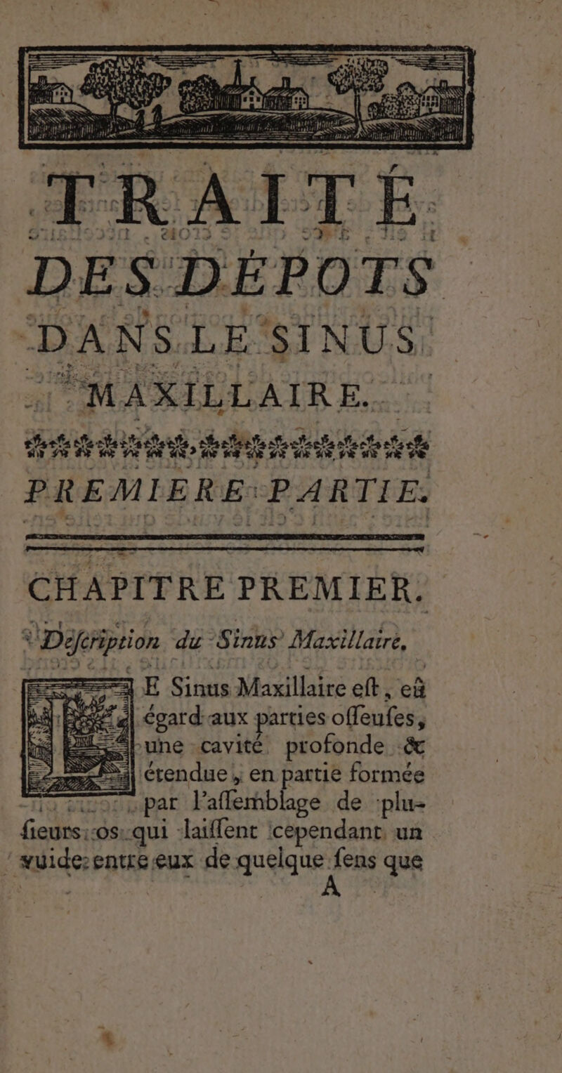 LE ae PREMIER. Défription du ‘Sinns Maxillatre, E SH Maxillaire eft , eÿ | Coardaux parties offeufes, s une cavité profonde .&amp; - à étendue; en partie formée par laflemblage de :plu- Pa “OS: qui -laiffent cependant. un “aider entre eux de quelque ge que