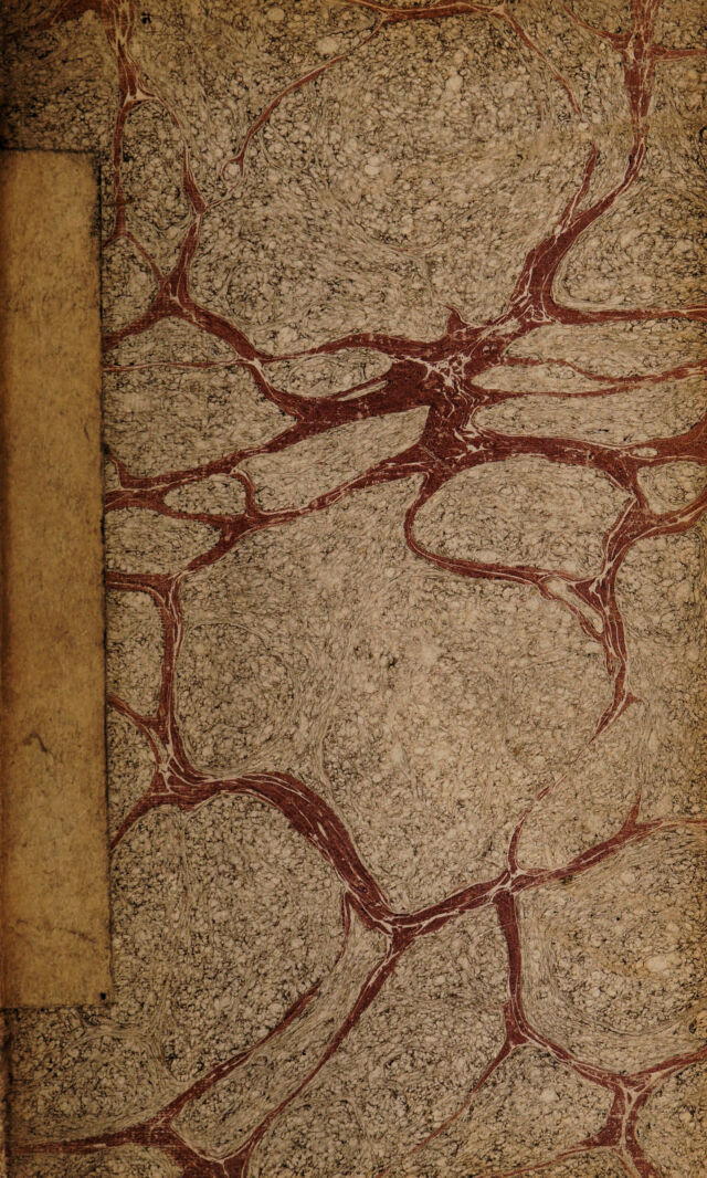 digitised image 1