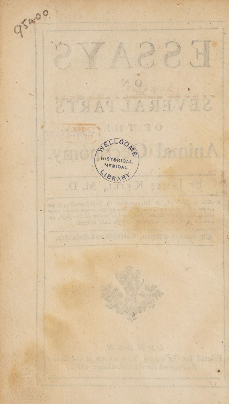 A,J ‘ /fV't '7, t 4 4 <■ * --. - » I \ ( i m