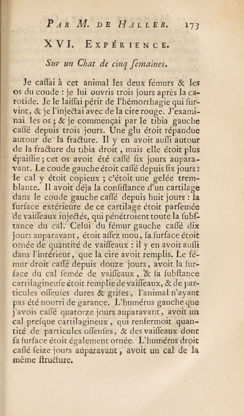 *7Î XVI. Expérience. émr zm Chat de cinq femaines. Je caftai à cet animal les deux fémurs &lt;5c les os du coude : je lui ouvris trois jours après la ca¬ rotide. Je le laiftai périr de l’hémorrhagie qui fur- vint, &amp; je l’injeétai avec de la cire rouge. J’exami¬ nai les os ; 8c je commençai par le tibia gauche cafte depuis trois jours. Une glu étoit répandue autour de la fraéfure. Il y en avoir auiïi autour de la fraéture du tibia droit , mais elle étoit plus épaiifie ; cet os avoit été cafte ftx jours aupara¬ vant. Le coude gauche étoit cafte depuis ftx jours : le cal y étoit copieux ; c’étoit une gelée trem¬ blante. Il avoit déjà la confiftance d’un cartilage dans le coude gauche cafte depuis huit jours : la furface extérieure de ce cartilage étoit parfemée de vaifteaux injedés, qui pénétroient toute la fubk tance du cal. Celui du fémur gauche cafte dix jours auparavant, étoit aftez mou, fa furface étoit ornée de quantité de vaifteaux : il y en avoit aufti dans l’intérieur, que la cire avoit remplis. Le fé¬ mur droit cafte depuis douze jours, avoit la fur- face du cal femée de vaifteaux , '&amp; fa fubftance cartilagineufe étoit remplie de vaifteaux, &amp; de par¬ ticules ofteufes dures 6c gril es , l’animal n’ayant pas été nourri de garance. L’humérus gauche que j’avois cafte quatorze jours auparavant, avoit un cal prefque cartilagineux , qui renfermoit quan¬ tité de particules ofteufes, &amp; des vaifteaux dont fa (urface étoit également ornée. L’humérus droit cafté feize jours auparavant, avoit un cal de la même ftruéture.