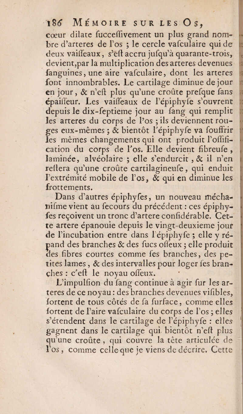 cœur dilate fucceffivement un plus grand nom¬ bre d’arteres de l’os ; le cercle vafculaire qui de deux vaiffeaux, s’efl accru jufqu’à quarante-trois^ devient,par la multiplication des arteres devenues fanguines, une aire vafculaire, dont les arteres font innombrables. Le cartilage diminue de jour en jour, 8c n’eft plus qu’une croûte prefque fans épaiffeur. Les vaiffeaux de l’épiphyfe s’ouvrent depuis le dix-feptieme jour au fang qui remplit les arteres du corps de Los ; ils deviennent rou¬ ges eux»mêmes ; &amp; bientôt Tépiphyfe va fouffrir les mêmes changements qui ont produit l’offifi- cation du corps de Los. Elle devient fibreufe , laminée, alvéolaire ; elle s’endurcit , 8c il n’en reliera qu’une croûte cartilagineufe, qui enduit l’extrémité mobile de Vos5 8c qui en diminue les frottements. Dans d’autres épiphyfes, un nouveau mécha- j îiifme vient au fecours du précédent : ces épiphy- * fies reçoivent un tronc d’artere confidérable. Cet- te artere épanouie depuis le vingt-deuxieme jour 1 de l’incubation entre dans f épiphyfe ; elle y ré¬ pand des branches 8c des fucs offeux ; elle produit des fibres courtes comme fes branches, des pe¬ tites lames , 8c des intervalles pour loger fes bran¬ ches : c'e fl le noyau offeux. L’impulfîon du fang continue à agir fur les ar¬ teres de ce noyau : des branches devenues vifibles, fortent de tous côtés de fa furface, comme elles fortent de l’aire vafculaire du corps de l’os ; elles s’étendent dans le cartilage de fépiphyfe : elles gagnent dans le cartilage qui bientôt n’efî plus qu’une croûte , qui couvre la tête articulée de Los, comme celle que je viens de décrire. Cette