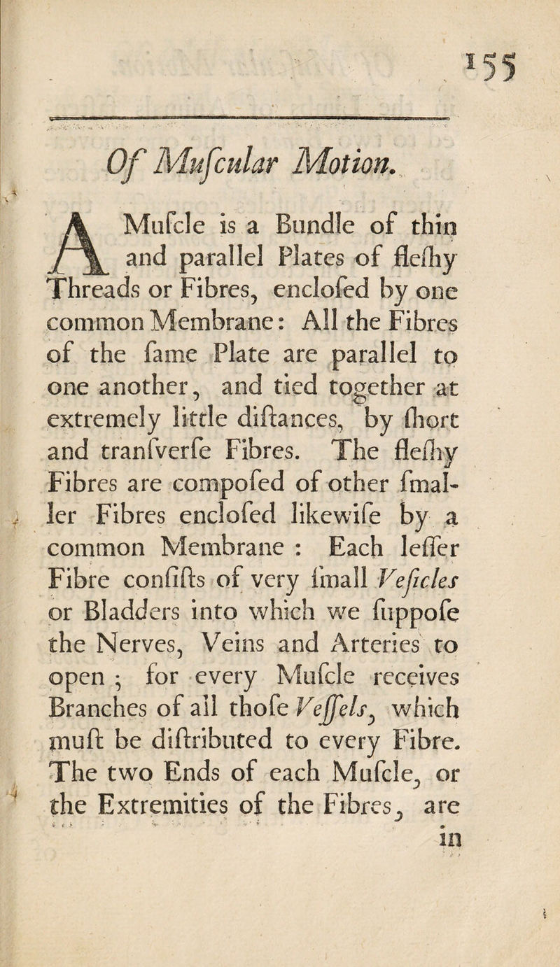 -W' -* -v-• •*''V - ' ■' •' ’ '* Motion. \ V. A Mufcle is a Bundle of thin and parallel Plates of flelhy Threads or Fibres, enclofed by one common Membrane: All the Fibres of the fame Plate are parallel to one another, and tied together at extremely little diftances, by (here and tranfverfe Fibres. The flefliy Fibres are compofed of other fmal- y ler Fibres enclofed likewife by a common Membrane : Each leffer Fibre confifts of very fmall Veficles or Bladders into which we fuppofe the Nerves, Veins and Arteries to open ; for every Mufcle receives Branches of all thofe Veffels, which jnuft be diftributed to every Fibre. The two Ends of each Mufcle, or the Extremities of the Fibres, are in