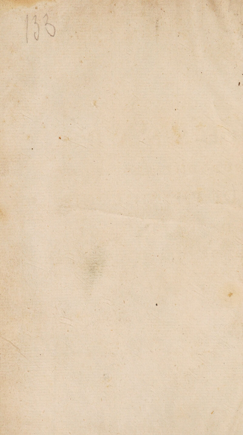 ' r> ... r \ y V - lv / 'V *. ' ' * C^'- ;. \ . r. - 'N . •- . - ; l'7 t.  l * \ t . S