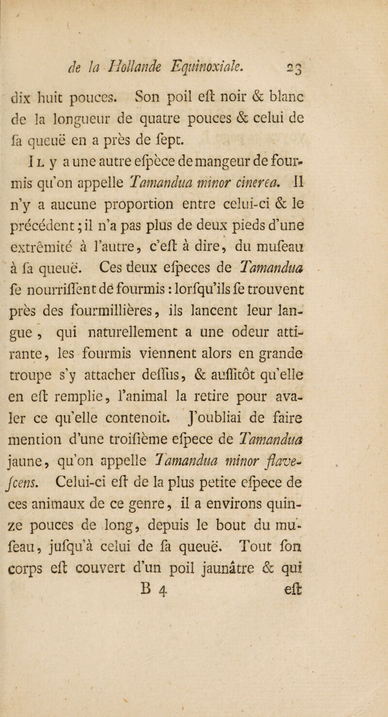 dix huit pouces. Son poil eft noir & blanc de la longueur de quatre pouces & celui de fa queue en a près de fept. I l y a une autre efpèce de mangeur de four* mis qu’on appelle Tamandua minor cinerea. Il n’y a aucune proportion entre celui-ci & le précédent; il n’a pas plus de deux pieds d’une » extrémité à l’autre, c’eft à dire, du mufeau à fa queue. Ces deux elpeces de Tamandua fe nourrilTent de fourmis : lorfqu’ils fe trouvent près des fourmillières, ils lancent leur lan¬ gue , qui naturellement a une odeur atti¬ rante, les fourmis viennent alors en grande troupe s’y attacher deffus, & aufiitôt qu’elle en eft remplie, l’animal la retire pour ava¬ ler ce qu’elle contenoit. J’oubliai de faire mention d’une troifième elpece de Tamandua jaune, qu’on appelle Tamandua minor flave- jcens. Celui-ci eft de la plus petite efjpece de ces animaux de ce genre, il a environs quin¬ ze pouces de long, depuis le bout du mu¬ feau, jufqu’à celui de fa queue. Tout Ion corps eft couvert d’un poil jaunâtre & qui B 4 eft