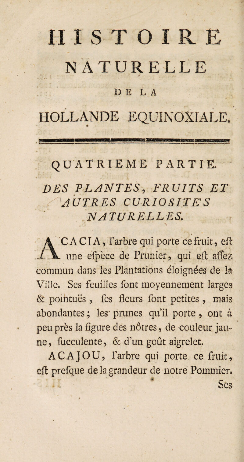 / HISTOIRE NATURELLE DELA HOLLANDE EQUINOXIALE. QUATRIEME PARTIE. DES PLANTES, FRUITS ET AUTRES CURIOSITES NATURELLES. \ ACACIA, l’arbre qui porte ce fruit, eft une eipèce de Prunier, qui eft affez commun dans les Plantations éloignées de la Ville. Ses feuilles font moyennement larges & pointuës, fes fleurs font petites, mais abondantes ; les' prunes qu’il porte , ont à peu près la figure des nôtres, de couleur jau¬ ne, fucculente, & d’un goût aigrelet. ACAJOU, l’arbre qui porte ce fruit, efl: prefque de la grandeur de notre Pommier. Ses