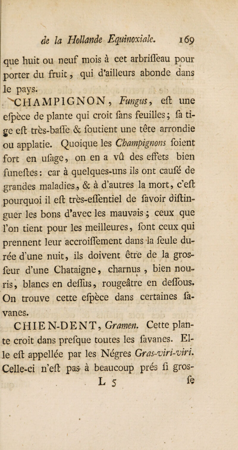 que huit ou neuf mois à cet arbriffeau pour porter du fruit, qui d’ailleurs abonde dans le pays. XlHAMPlGNON , Fangus, eft une efpèce de plante qui croit fans feuilles; fa ti¬ ge eft très-baffe & foutient une tête arrondie ou applatie. Quoique les Champignons foient fort en ufage, on en a vû des effets bien funeftes : car à quelques-uns ils ont caufé de grandes maladies, & à d’autres la mort, c’eft pourquoi il eft très-eflèntiel de favoir diftin- guer les bons d’avec les mauvais ; ceux que l’on tient pour les meilleures, font ceux qui prennent leur accroiffement dans 'la feule du¬ rée d’une nuit, ils doivent être de la gros- feur d’une Châtaigne, charnus , bien nou- ris, blancs en deffus, rougeâtre en defious. On trouve cette efpèce dans certaines Pa¬ vanes. CHIE N-D E N T, Gramen. Cette plan¬ te croit dans prefque toutes les favanes. El¬ le eft appellée par les Nègres Gras-viri-viri. Celle-ci n’eft pas- à beaucoup prés fi gros- . L 5 Te