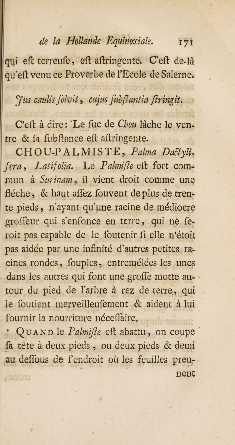 qui eft terreufe, eft aftringente. C’efl de-là qu’eft venu ce Proverbe de l’Ecole deSalerne. ffits canin folvit, cujus fubftantia flringit. \ C’efl: à dire: Le lue de Chou lâche le ven¬ tre & fa fubftance eft altringente. CHOU-PALMISTE, F aima Da&yli- fera, Latifolia. Le Palmifle eft fort com¬ mun à Surinam, il vient droit comme une flèche, & haut allez fouvent déplus de tren¬ te pieds, n'ayant qu’une racine de médiocre ! • * '• T * grofleur qui s'enfonce en terre, qui né fe- roit pas capable de le foutenir fi elle n’étoit pas aidée par une infinité d’autres petites ra¬ cines rondes, fouples, entremêlées les unes dans les autres qui font une grofle motte au¬ tour du pied de l’arbre à rez de terre., qui le fondent merveilleufement & aident à lui fournir la nourriture néceflaire, • Q u a N d le Palmifle eft abattu, on coupe fa tête à deux pieds, ou deux pieds & demi au deffous de l’endroit où les feuilles pren- * * » . * » ■ ■ - * ’ nent / /