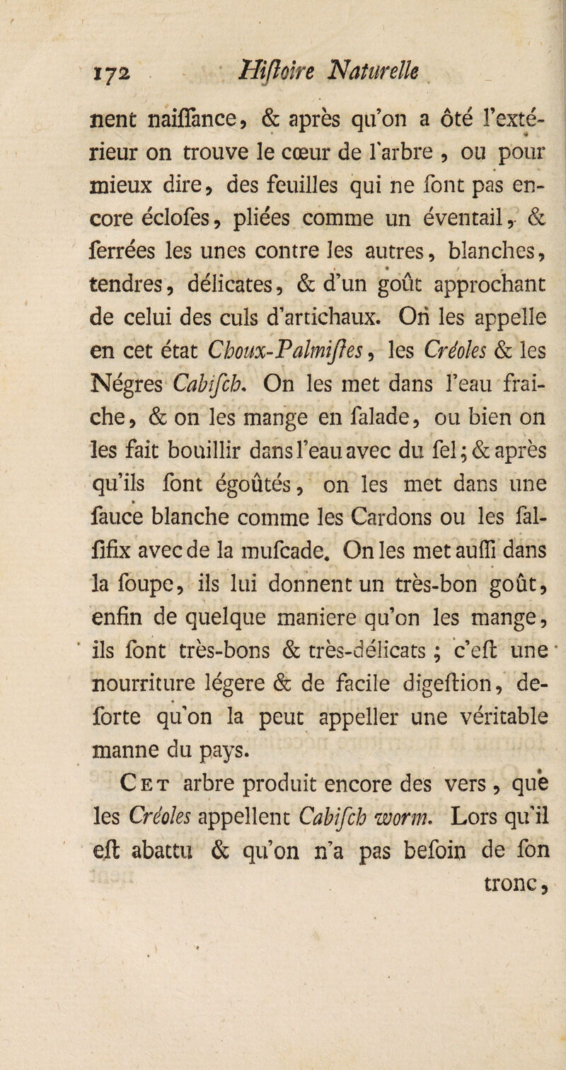 » 172 Hifîoire Naturelle j nent naifîànce, & après qu’on a ôté l’exté¬ rieur on trouve le cœur de l'arbre , ou pour mieux dire, des feuilles qui ne font pas en¬ core éclofes, pliées comme un éventail, & ferrées les unes contre les autres, blanches, * * / f tendres, délicates, & d’un goût approchant de celui des culs d’artichaux. Ori les appelle en cet état Cboux-Palmijles, les Créoles & les Nègres Cabifcb. On les met dans l’eau fraî¬ che , & on les mange en falade, ou bien on les fait bouillir dans l’eau avec du fel ; & après qu’ils font égoûtés, on les met dans une * fauce blanche comme les Cardons ou les fal- fifix avec de la mufcade. On les metaulfi dans la foupe, ils lui donnent un très-bon goût, enfin de quelque maniéré qu’on les mange, ils font très-bons & très-délicats ; c’eft une nourriture légère & de facile digeftion, de- forte qu’on la peut appeller une véritable manne du pays. Cet arbre produit encore des vers, que les Créoles appellent Cabifcb worm. Lors qu’il eft abattu & qu’on n’a pas befoin de fon tronc,