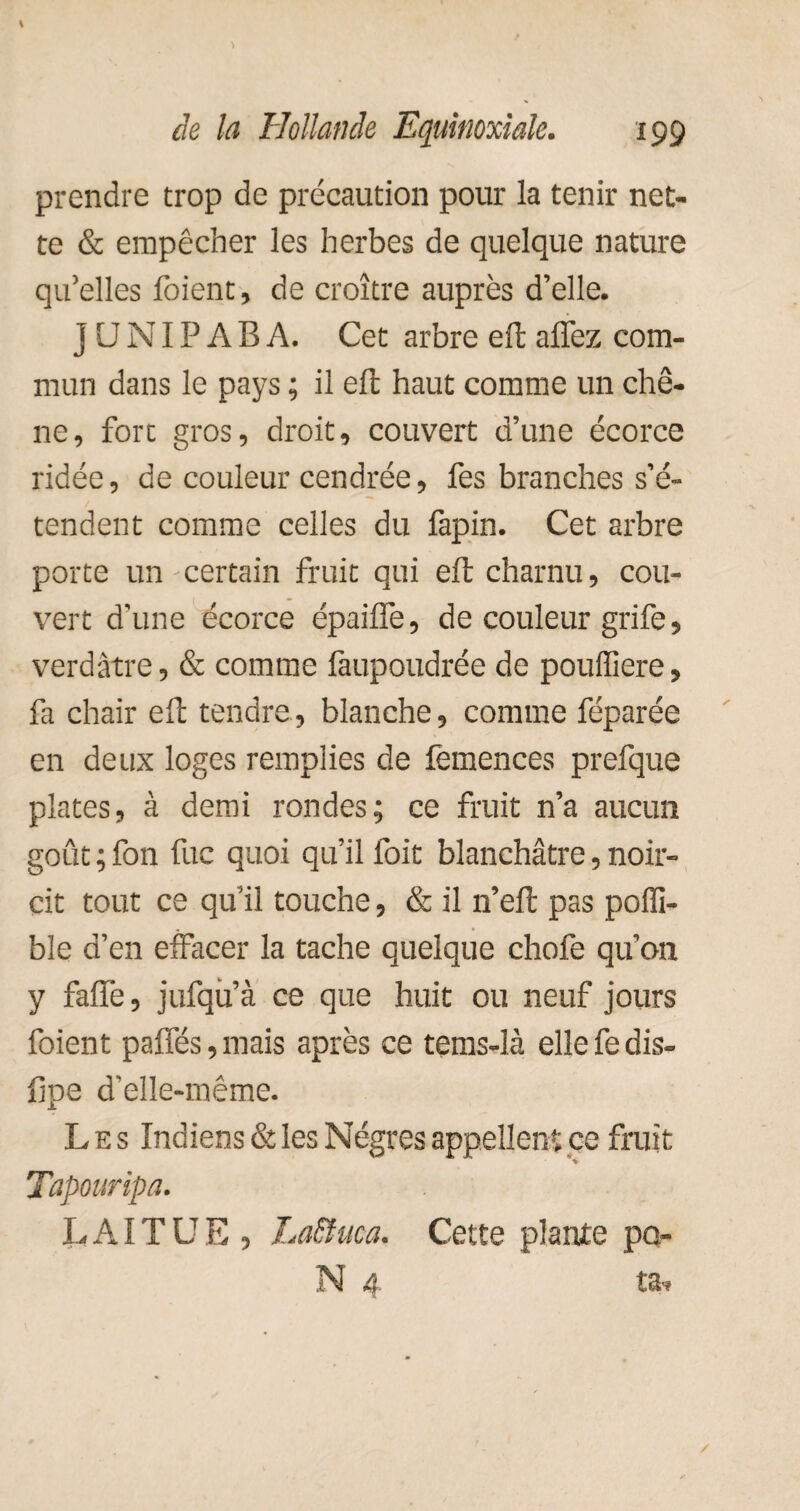 prendre trop de précaution pour la tenir net¬ te & empêcher les herbes de quelque nature qu’elles foient, de croître auprès d’elle. ] U NIP A B A. Cet arbre eft allez com¬ mun dans le pays ; il ell haut comme un chê¬ ne, fort gros, droit, couvert d’une écorce ridée, de couleur cendrée, fes branches s’é¬ tendent comme celles du fapin. Cet arbre porte un certain fruit qui eft charnu, cou¬ vert d’une écorce épaifle, de couleur grife, verdâtre, & comme làupoudrée de pouffiere, fa chair eft tendre, blanche, comme féparée en deux loges remplies de lêmences prefque plates, à demi rondes; ce fruit n’a aucun goût ; fon fuc quoi qu’il foit blanchâtre, noir¬ cit tout ce qu’il touche, & il n’eft pas polïï- ble d’en effacer la tache quelque chofe qu’on y falfe, jufqù’à ce que huit ou neuf jours foient paffés,mais après ce tems-là ellefedis- fipe d'elle-même. Les Indiens & les Nègres appellent ce fruit Tapouripa. LAITUE , Laffuca. Cette plante po N 4. ta.