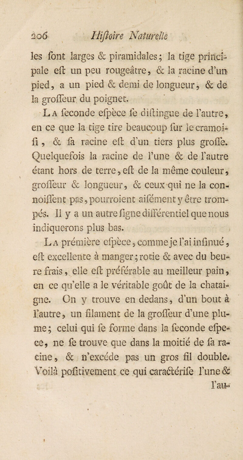 îes font larges & piramidales ; la tige princi¬ pale eft un peu rougeâtre, & la racine d’un pied, a un pied & demi de longueur, & de la groffeur du poignet. La fécondé efpèee le diftingue de l’autre, en ce que la tige tire beaucoup fur le cramoi- tl, & fa racine eft d’un tiers plus greffe. Quelquefois la racine de l’une & de l’autre étant hors de terre,eft de la même couleur, groffeur & longueur, & ceux qui ne la con- noiffent pas, pourraient aifémenty être trom¬ pés. 11 y a un autre ligne différentiel que nous indiquerons plus bas. La première efpèee, comme je l’ai infinité, eft excellente à manger ; rôtie & avec du heu¬ re frais, elle eft préférable au meilleur pain, en ce qu’elle a le véritable goût de la châtai¬ gne. On y trouve en dedans, d’un bout à l’autre, un filament de la groffeur d’une plu¬ me; celui qui fe forme dans la fécondé efpe- ce, ne fe trouve que dans la moitié de fa ra¬ cine, & if excède pas un gros fil double. Voilà pofitivement ce qui caractérife l’une & l’an-