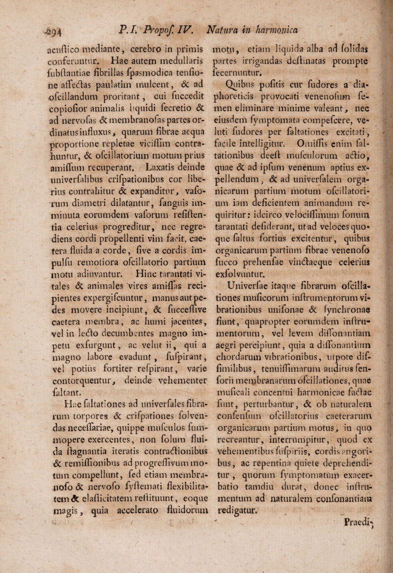 acuftiec mediante, cerebro in primis conferuntur. Hae autem medullaris fubftantiae fibrillas fpasmodica tenfio- ne afifedas paulatim mulcent, dc ad ofcillandum proritant, cui fuccedit copiofior animalis liquidi fecretio dc ad nervofas dc membranofas partes or¬ dinatus influxus, quarum fibrae aequa proportione repletae viciflim contra¬ huntur, dc ofciilatorium motum prius amiffum recuperant. Laxatis deinde imiverfalibus crifpationibus cor libe¬ rius contrahitur dc expanditur, vafo- rum diametri dilatantur, fanguis im¬ minuta eorumdem vaforum reliden¬ tia celerius progreditur, nec regre- diens cordi propellenti vim facit, cae- iera fluida a corde, live a cordis im- pulfu remotiora ofcil latori o partium motu adiuvantur. Hinc tarantati vi¬ tales dc animales vires amiflTas reci¬ pientes expergifcuntur, manus aut pe¬ des movere incipiunt, dc fucceflive caetera membra, ac humi jacentes, vel in ledo decumbentes magno im- petu exfurgunt, ac vehit ii, qui a magno labore evadunt, fufpirant, vel potius fortiter refpirant, varie contorquentur, deinde vehementer fa Itant. Hae faltationes ad univerfales fibra¬ rum torpores dc crifpationes folven- das neceflariae, quippe miifculos fum- mopere exercentes, non folutn flui¬ da flagnautia iteratis contradi onibus dc remiffionibus ad progrefllvum mo¬ tum compellunt, fed etiam membra* pofo dc nervofo fyflemati flexibilita¬ tem <5c elaflicitatem rellituunt, eoque magis, quia accelerato fluidorum o ■ • / r -■ r motu, etiam liquida alba ad folidas partes irrigandas delimatas prompte fecernuntur. Quibus politis cur fudores a dia¬ phoreticis provocati venenofum fe¬ men eliminare minime valeant, nec eiusdem fymptomata compefcere, ve- luti fudores per faltationes excitati, facile intelligitur. Omilfis enim fal- tationibus deefi mufculoriun adio, quae dc ad ipfum venenum aptius ex¬ pellendum ? dc ad univerfalem orga¬ nicarum partium motum ofciilatori¬ um iam deficientem animandum re¬ quiritur: idcirco velociffimum foniun tarantati de fiderant, ut ad veloces quo¬ que faltus fortius excitentur, quibus organicarum partium fibrae venenofo fucco prehenfae vindaeque cekrius exfolvuntur. Univerfae itaque fibrarum ofcilla- tiones mulleorum inflrumentorum vi¬ brationibus unifonae dc fynchronae fiunt, quapropter eorumdem inflru- mentorum, vel levem diflonantiam aegri percipiunt, quia a dilTonantium chordarum vibrationibus, utpote dif- fimilibus, tenuiflimarum auditos fen- forii membranarum ofciilationes, quae muficaJi concentui harmonicae fadac fiint, perturbantur, dc ob naturalem Confenfuin ofcillatorius caeterarum organicarum partium motus, in quo recreantur, interrumpitur, quod ex vehementibus fufpiriis, cordis angori¬ bus, ac repentina quiete deprehendi¬ tur , quorum fymptomatum exacer¬ batio tamdiu durat, donec inflru- mentum ad naturalem confonantiana redigatur. i