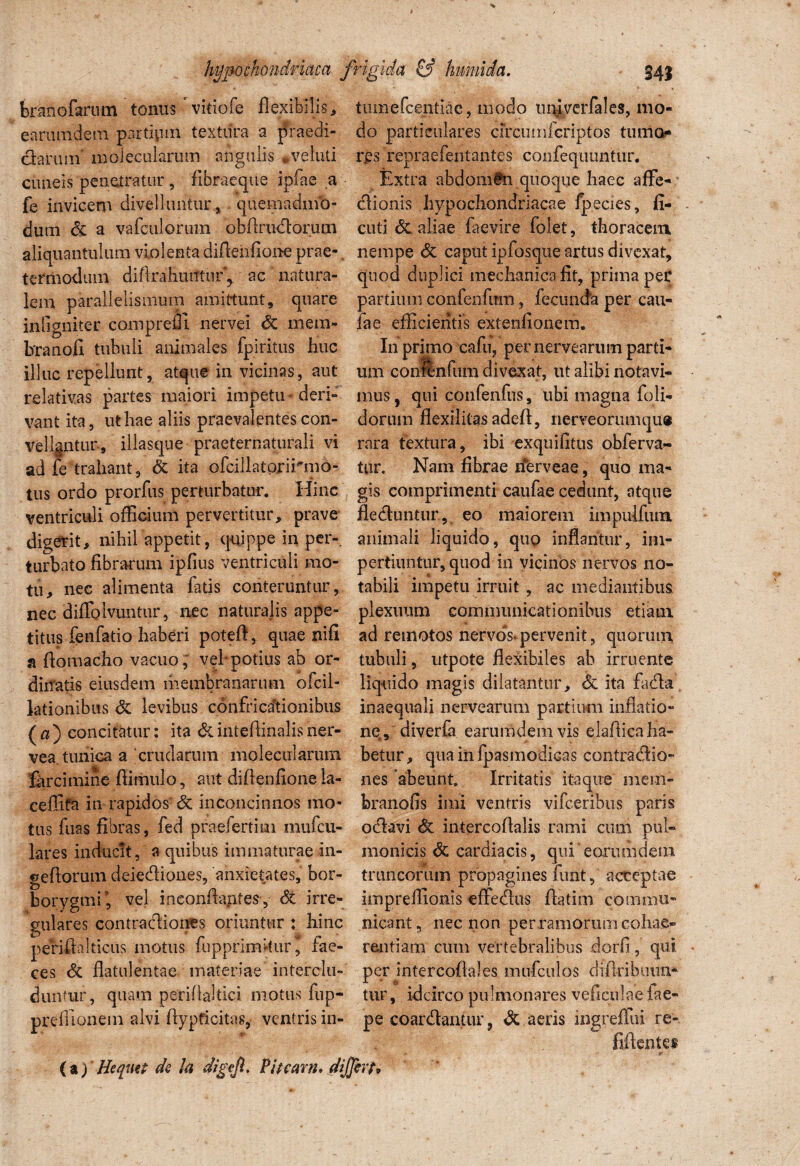 bnmofarum tonus ' vitiofe flexibilis , earumdem partipm textura a jfraedi- chrum moiecularum angulis *veluti cuneis penetratur, fibraeque ipfae .a fe invicem divelluntur, quemadmo¬ dum & a vafculorum obArudorucn aliquantulum violenta diflenfione prae¬ ter modum diftrahurftur ^ ac natura¬ lem parallelismum amittunt, quare iniigniter compreffi. nervei <3c mera- branofi tubuli animales fpiritus huc illuc repellunt, atque in vicinas, aut relativas partes maiori impetu'deri¬ vant ita, ut hae aliis praevalentes con¬ vellantur-, illasque praeternaturali vi ad fe trahant, & ita ofcillatprii*ni6- tus ordo prorfus perturbatur. Hinc ventriculi officium pervertitur, prave digerit, nihil appetit, quippe in per¬ turbato fibrarum ipfius ventriculi mo¬ tu, nec alimenta fatis conteruntur, nec diflblvuntur, nec naturalis appe¬ titus fenfatio haberi poteft, quae nifi a fiomacho vacuo; veh potius ab or¬ dinatis eiusdem membranarum ofcil- ktionibus & levibus confricationibus (a) concitatur: ita &inteftinalisner- vea, tunica a 'crudarum moiecularum ifhrcimine flimulo, aut diflenfione ia- ceffifa in rapidos & inconcinnos mo¬ tus fuas fibras, fed praefertim mufcu- lares inducit, a quibus immaturae in- geftorum deiectiones, anxietates, bor- borygmi', vel ineonflantes, & irre¬ gulares contractiones oriuntur : hinc perifiakicus motus fupprimkur, fae¬ ces & flatulentae materiae interclu¬ duntur, quam perifialtici motus fup- preflionem alvi fiypficitas, ventris in- (a) Uequtt de Ia digeji. Pluam* dijt tumefeentiae, modo nniverfales, mo¬ do particulares circumferiptos tumo¬ res repraefentantes confequuntur. Extra abdomen quoque haec affe¬ ctionis hypochondriacae fpecies, fl¬ enti &. aliae faevire folet, thoracem nempe & caput ipfosque artus divexat, quod duplici mechanica fit, prima per partium confenfitm, fecunda per cau¬ lae efficientis extenfionem. Iii primo cafu, per nerveariim parti¬ um confinium divexat, ut alibi notavi¬ mus, qui confenfus, libi magna foli- dorum flexilitas adeft, nerveorumqu» rara textura, ibi exquifitus obferva- tur. Nam fibrae iferveae, quo ma¬ gis comprimenti caufae cedunt, atque flectuntur, eo maiorem impulfum animali liquido, quo inflantur, im¬ pertiuntur, quod in vicinos nervos no¬ tabili impetu irruit , ac mediantibus plexuum communicationibus etiam ad remotos nervos*pervenit, quorum tubuli, utpote flexibiles ab irruente liquido magis dilatantur, ita facta inaequali nervearum partium inflatio¬ ne , diveria earumdem vis elaflica ha- betur, qua in fpasmodicas contractio¬ nes abeunt. Irritatis itaque mem- branofis imi ventris vifceribus paris octavi & intercofialis rami cum pul- monicis & cardiacis, qni eorumdem truncorum propagines funt, acteptae impreffionis effectus flatim commu¬ nicant, nec non per ramorum cohae¬ rentiam cum vertebralibus dorfi, qui. per intercoflales mufculos diflribuun* tur, idcirco pulmonares veficulaefae- pe coarctantur, & aeris mgreffni re-. 'er;.