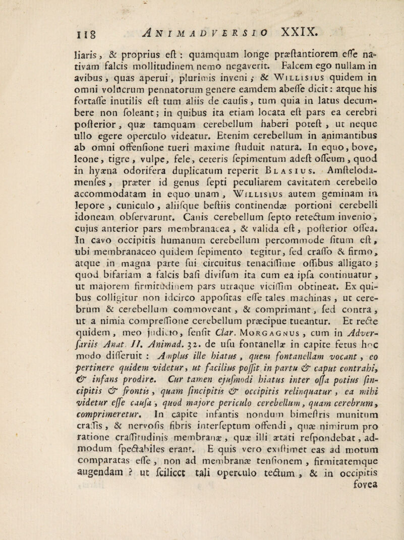 liaris, & proprius efl : quamquam longe prseftantiorem effe na** tivam falcis mollitudinem nemo negaverit. Falcem ego nullam in avibus, quas aperui, plurimis inveni; & Willisius quidem in omni volilcrum pennatorum genere eamdem abeffe dicit: atque his fortaffe inutilis efl tum aliis de caufis, tum quia in latus decum¬ bere non foleant; in quibus ita etiam locata eft pars ea cerebri pofterior, quae tamquam cerebellum haberi poteft , ut neque ullo egere operculo videatur. Etenim cerebellum in animantibus ab omni offenfione tueri maxime ftuduit natura. In equo, bove, leone, tigre , vulpe, fele, ceteris fepimentum adeft ofleum , quod in hyaena odorifera duplicatum reperit Blasius. Amfteloda- menfes , praeter id genus fepti peculiarem cavitatem cerebello accommodatam in equo unam , 'Willisius autem geminam ia lepore , cuniculo , aliifque beftiis continendae portioni cerebelli idoneam obfervarunr. Canis cerebellum fepto rete&um invenio, cujus anterior pars membranacea , & valida eft, pofterior ofTea. In cavo occipitis humanum cerebellum percommode fitum eft, ubi membranaceo quidem fepimento tegirur, fed craffo & firmo, atque in magna parte fui circuitus tenacidime oflibus alligato ; quod bifariam a falcis bafi divifum ita cum ea ipfa continuatur , ut majorem firmitudinem pars utraque vicifTim obtineat. Ex qui¬ bus colligitur non idcirco appofitas ede tales machinas , ut cere¬ brum & cerebellum commoveant, & comprimant, fed contra, ut a nimia compreffione cerebellum praecipue tueantur. Et rede quidem, meo judicio, fenfit Clar. Morgagnus , cum in Adver- furiis Anat. II. Animad. 32. de ufu fontanella? in capite fetus hoc modo difieruit : Amplus ille hiatus , quem fontandlam vocant, eo pertinere quidem videtur, ut facilius pojfit in partu & caput contrahi, & infans prodire. Cur tamen ejufmodi hiatus inter offa potius fin- cipitis & frontis , quam fmcipitis & occipitis relinquatur , ea mihi videtur effe caufa , quod majore periculo cerebellum, quam cerebrum, comprimeretur. In capite infantis nondum bimefiris munitum eradis, & nervofis fibris interfeptum offendi , qnae nimirum pro ratione cradirudinis membranae, quae illi stati refpondebac, ad¬ modum fpe&abiles eranr. E quis vero exifiimet eas ad motum comparatas effe, non ad membranae tenfionem , firmitatemque augendam ? ut fcilicct tali operculo te&um , & in occipitis fovea