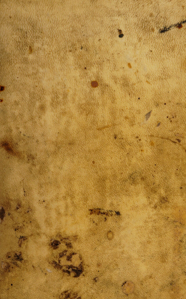 digitised image 1