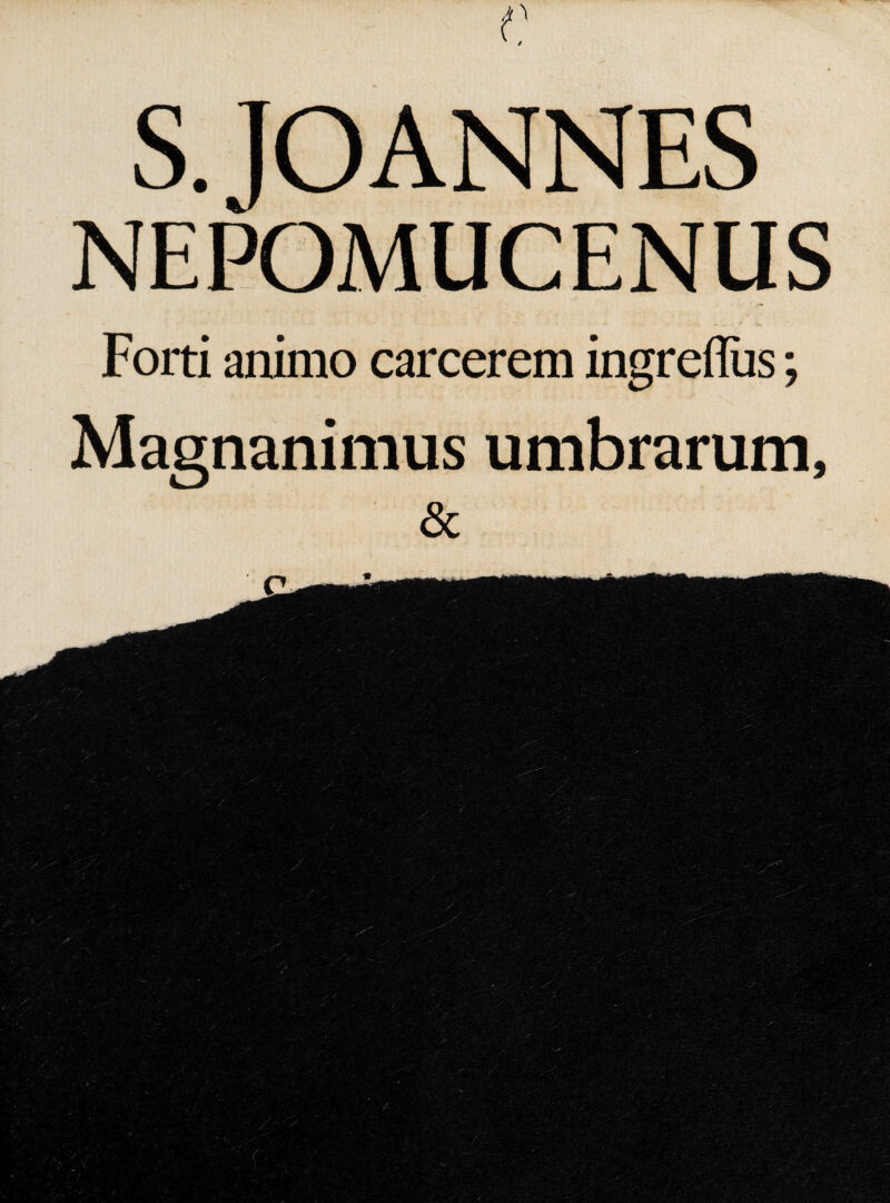 Foiti animo carcerem ingreflus; Magnanimus umbrarum, &