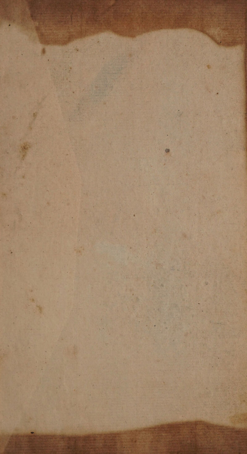 eo L ‘ ~ ry - . i . x 7 ' &amp; 4 - =| ‘ . ‘ ' : “ y . e s ry - . - 4 . Py ‘ ' > 4 . -~%,. - , - , 2 2 : ry : s i _ . i é f - ’ ’ ‘ . ‘