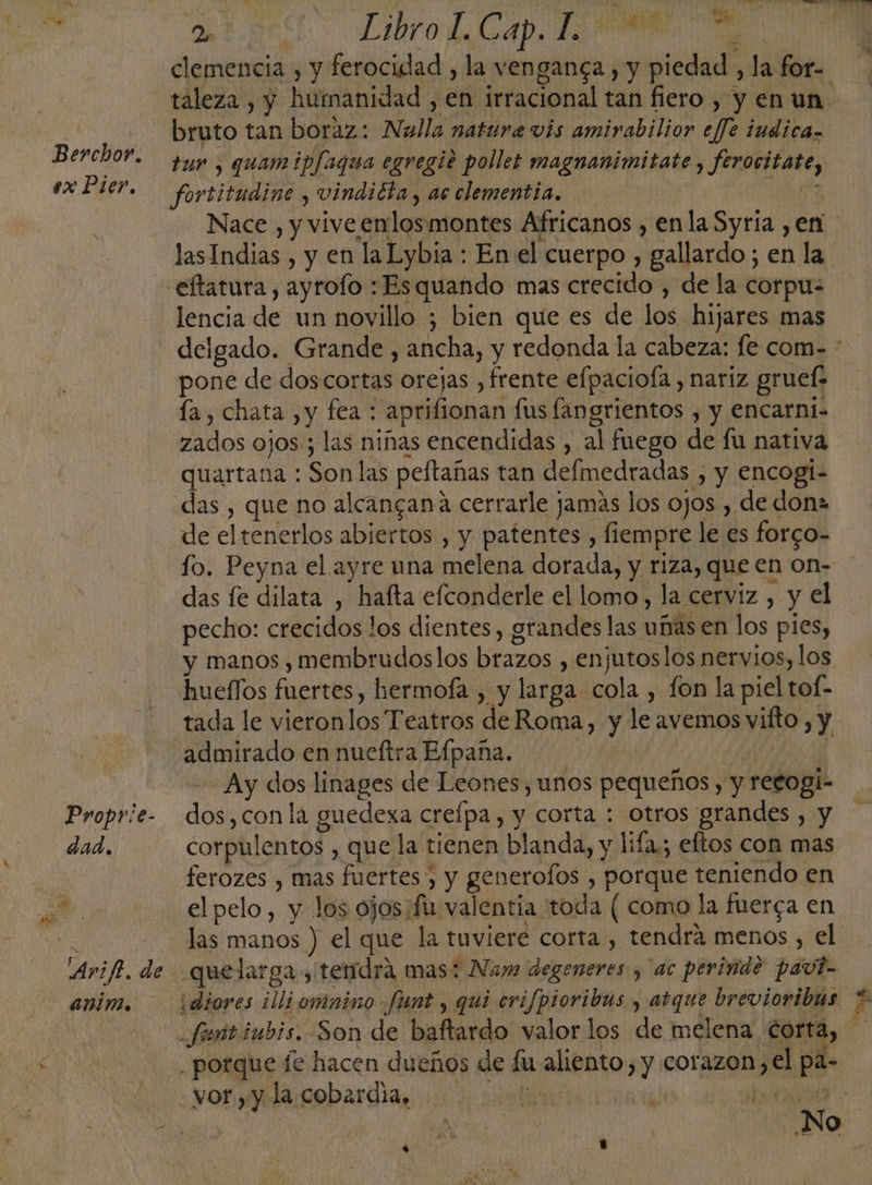 Berchor. ex Pier. Proprie- dad, ”” AOL: Libro L,Cap A clemencia , y ferocidad , la venganga , y piedad, la for- bruto tan boraz: Nulla natura vis amirabilior efJe iudica» tur , quamipfagoa egregie pollet magnanimitate , ferocitate, fortitudine , vinditta, ac clementia. Ad lasIndias , y en la Lybia : En el cuerpo , gallardo; en la eftatura, ayrofo :Esquando mas crecido , de la corpu- lencia de un novillo ; bien que es de los hijares mas pone de doscortas orejas ,frente efpaciofa , nariz gruel» la, chata ,y fea : aprifionan fus langrientos , y encarni- zados ojos.; las niñas encendidas , al fuego de fu nativa quartana : Son las peftañas tan defmedradas , y encogí- das , que no alcangana cerrarle jamás los ojos , de dona de eltenerlos abiertos , y patentes , fiempre le es forco- fo. Peyna el ayre una melena dorada, y riza, que en on- das fe dilata , hafta efconderle el lomo, la cerviz , y el pecho: crecidos los dientes, grandes las uñas en los pies, y manos , membrudoslos brazos , enjutoslos nervios, los hueflos fuertes, hermofa , y larga cola , fon la piel tof- tada le vieronlos Teatros de Roma, y le avemos vifto , y admirado en nueftra Elpana. | pl Ay dos linages de Leones, unos pequeños , y recogií- dos,conla guedexa crefpa , y corta : otros grandes , y corpulentos , que la tienen blanda, y lifa.; eftos con mas ferozes , mas fuertes , y generofos , porque teniendo en el pelo, y los ojos; fu valentia toda ( como la fuerca en animo. idiores illiomnino .funt , qui crifpioribus , atque brevioribus .potque fe hacen dueños de fu aliento, y corazon, el pa- vor , y la. cobardía, a | slim pl pa y &gt;